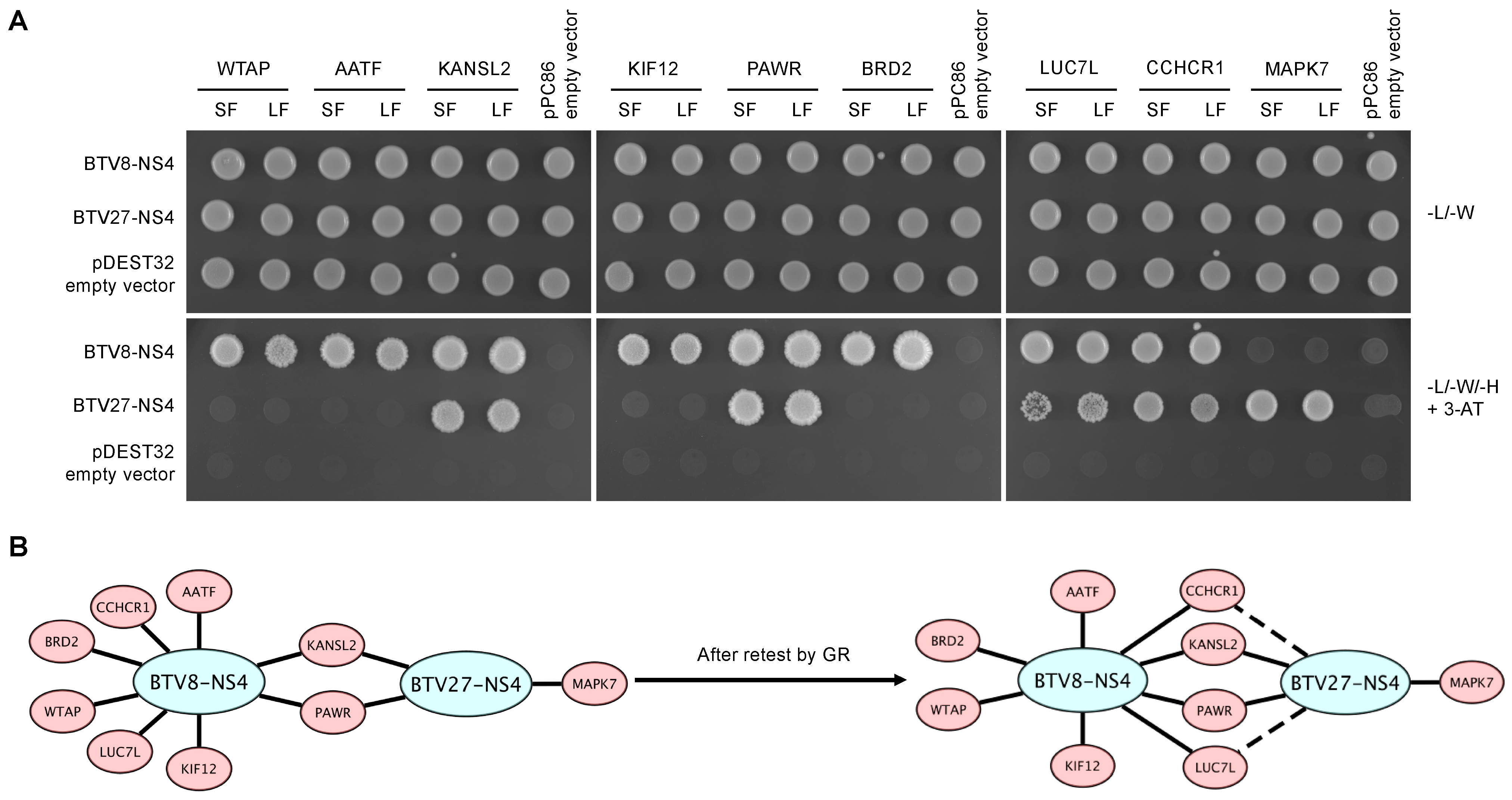 Viruses 14 00182 g001