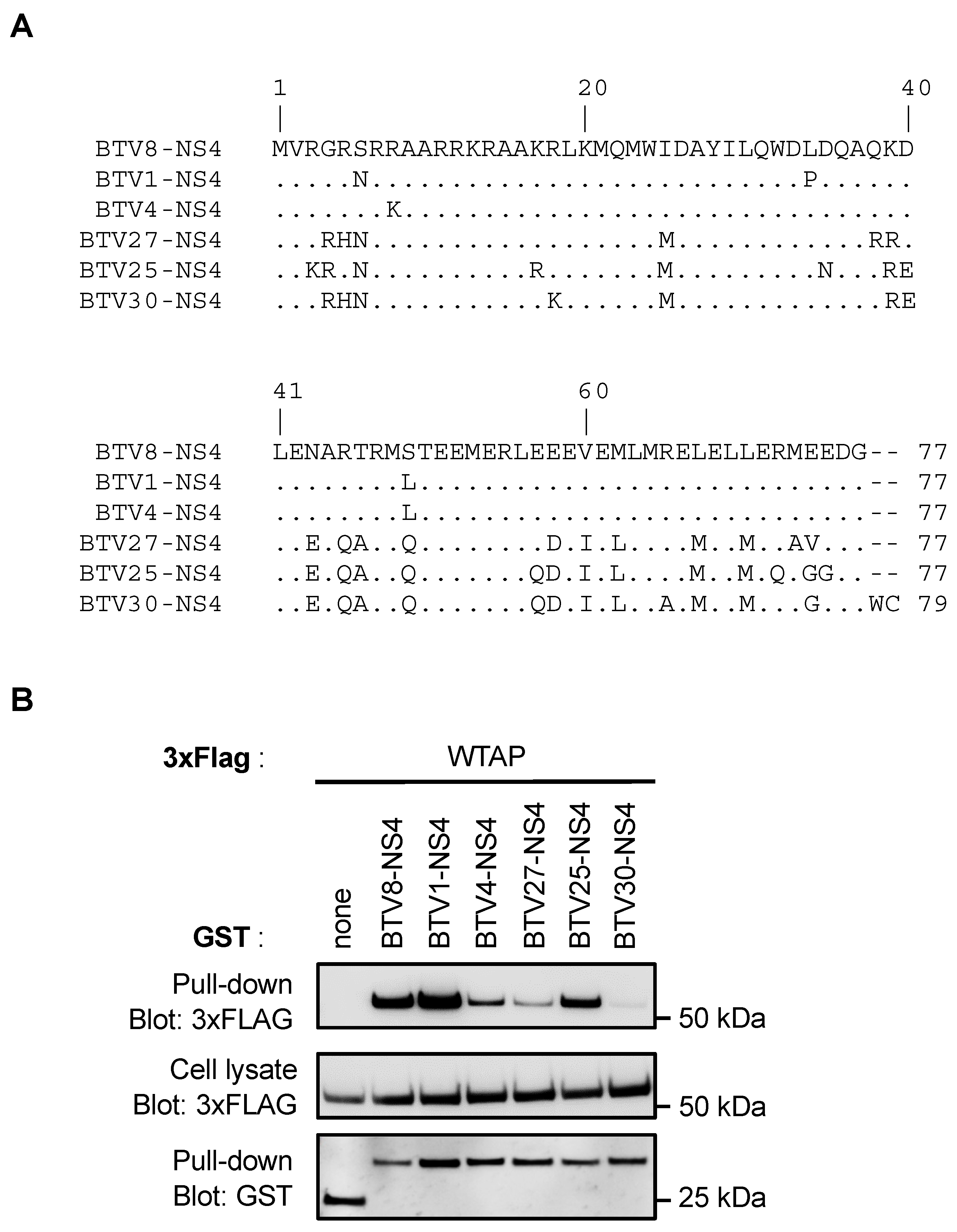 Viruses 14 00182 g003