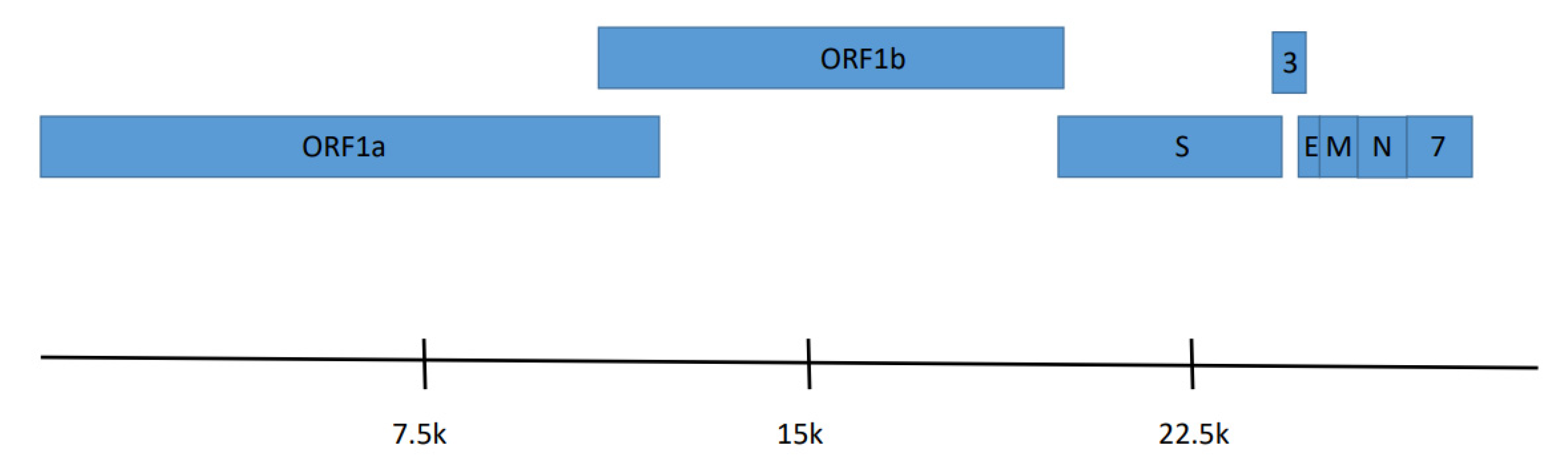 Viruses 14 00184 g002