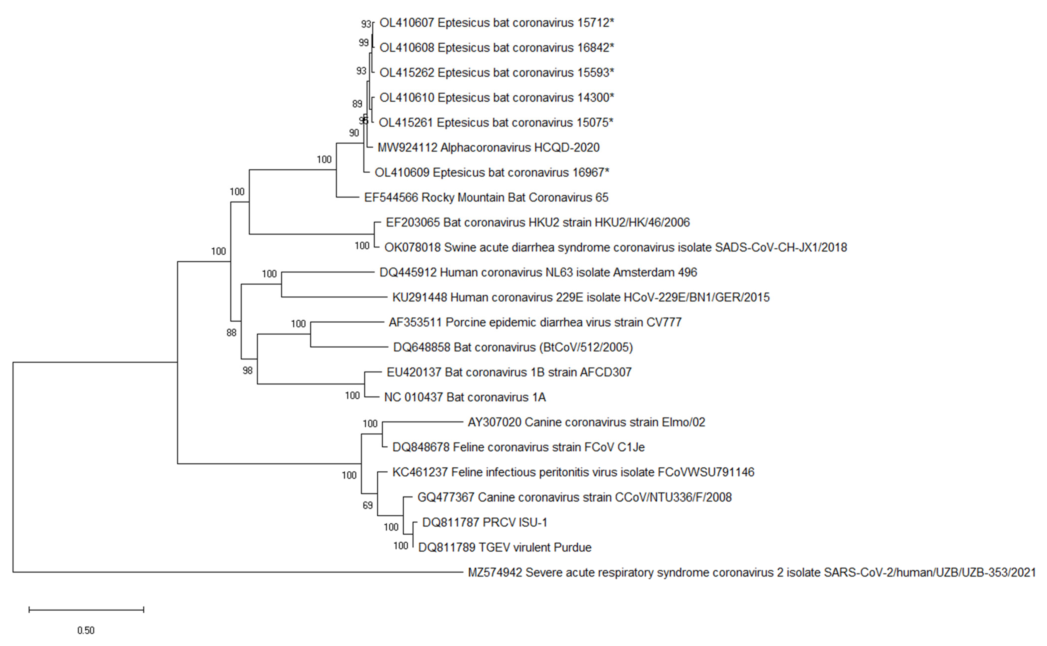 Viruses 14 00184 g003
