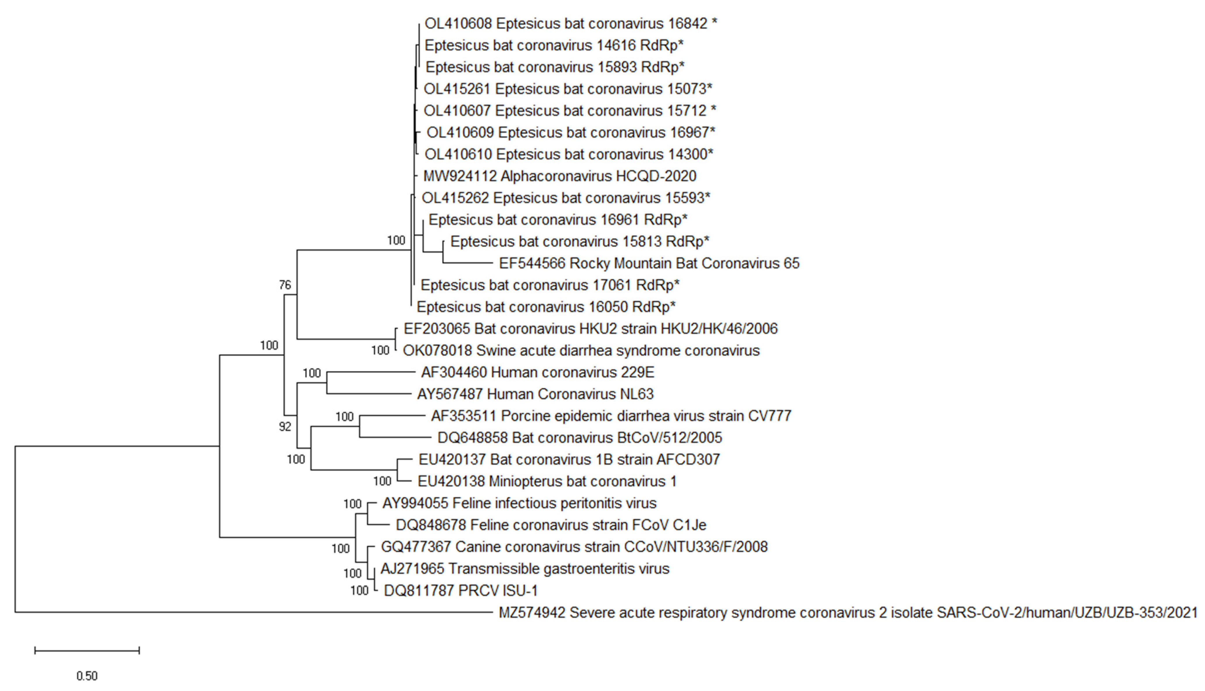Viruses 14 00184 g004