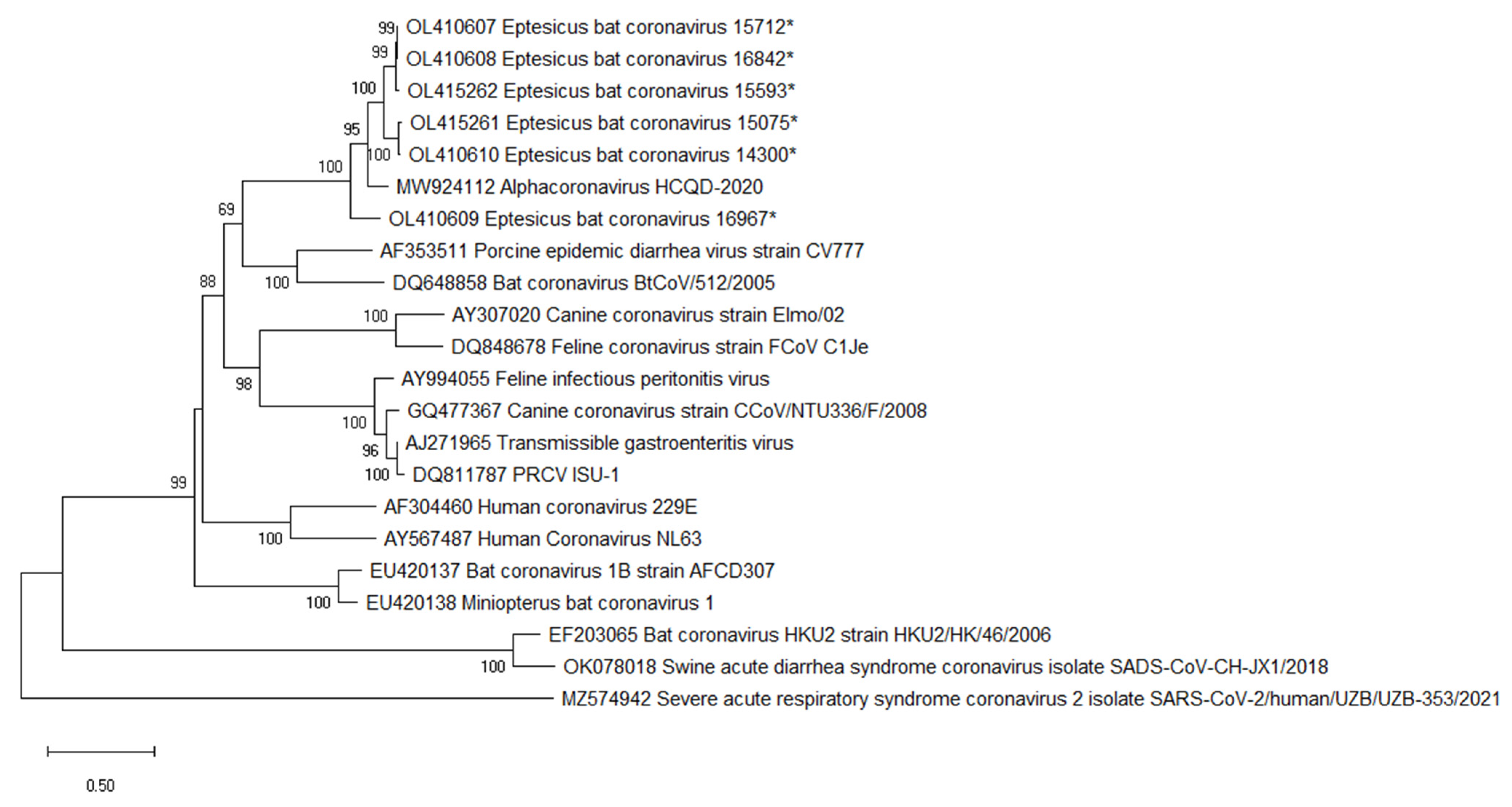 Viruses 14 00184 g005
