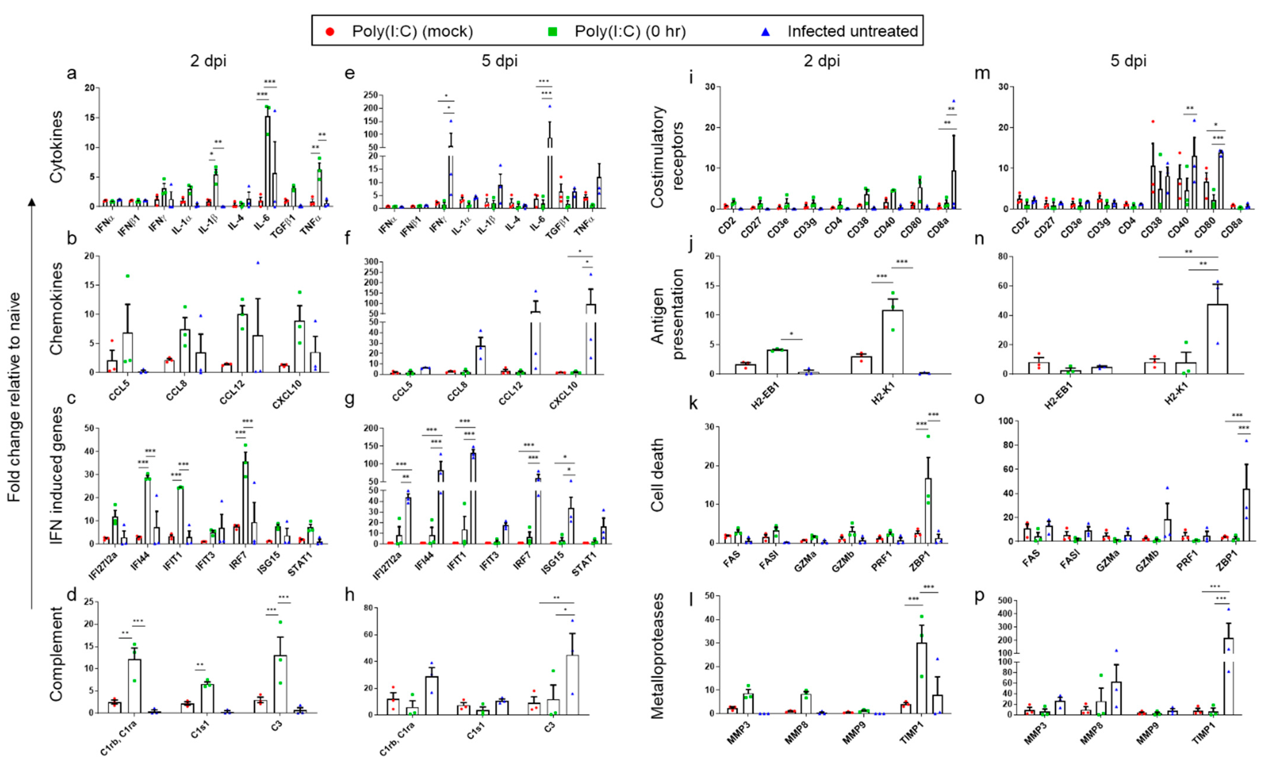 Viruses 14 00189 g004 550