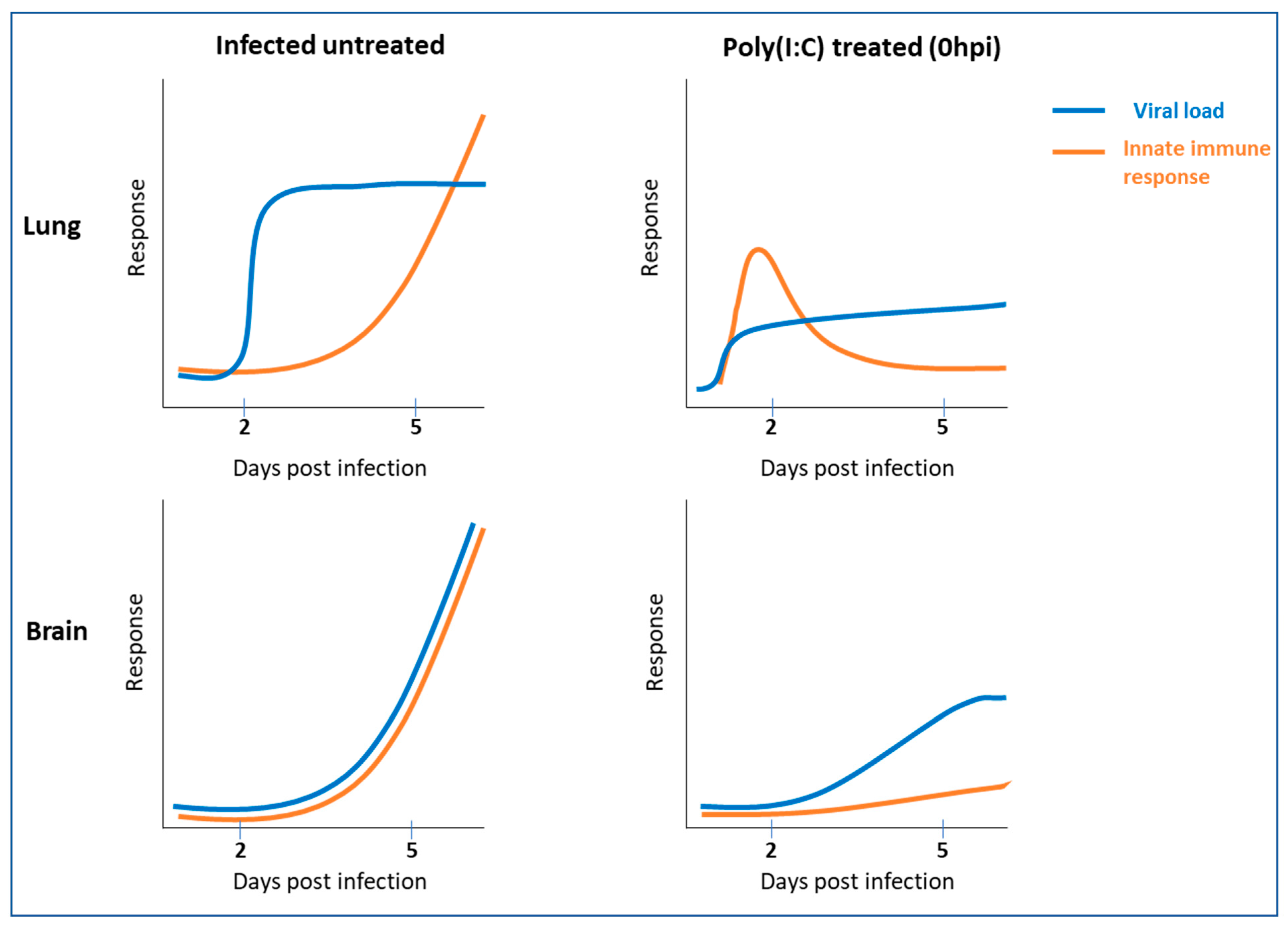 Viruses 14 00189 g007 550