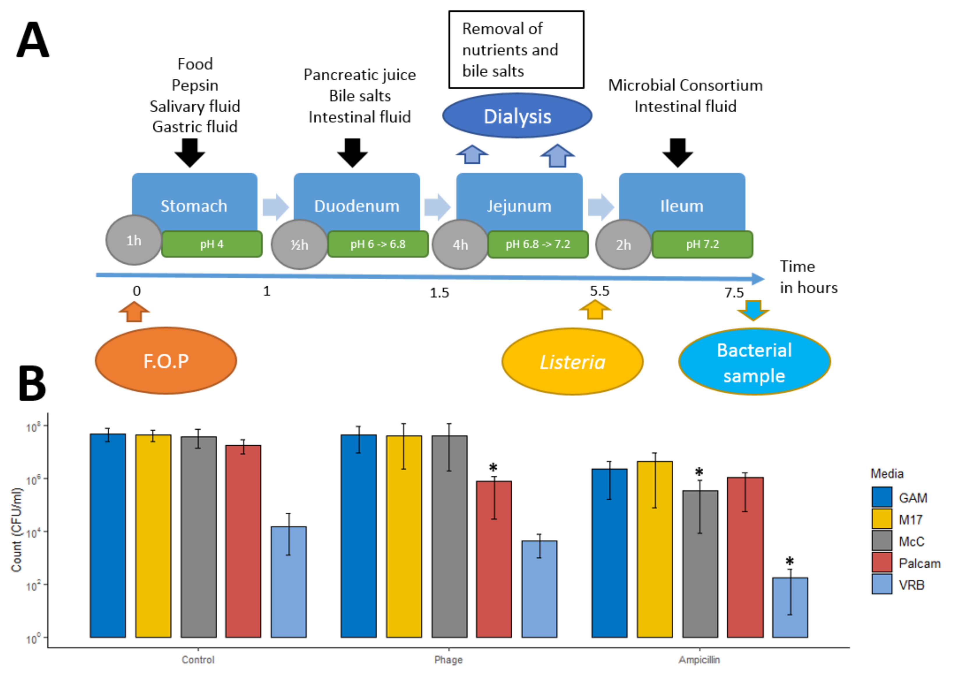 Viruses 14 00190 g001 550