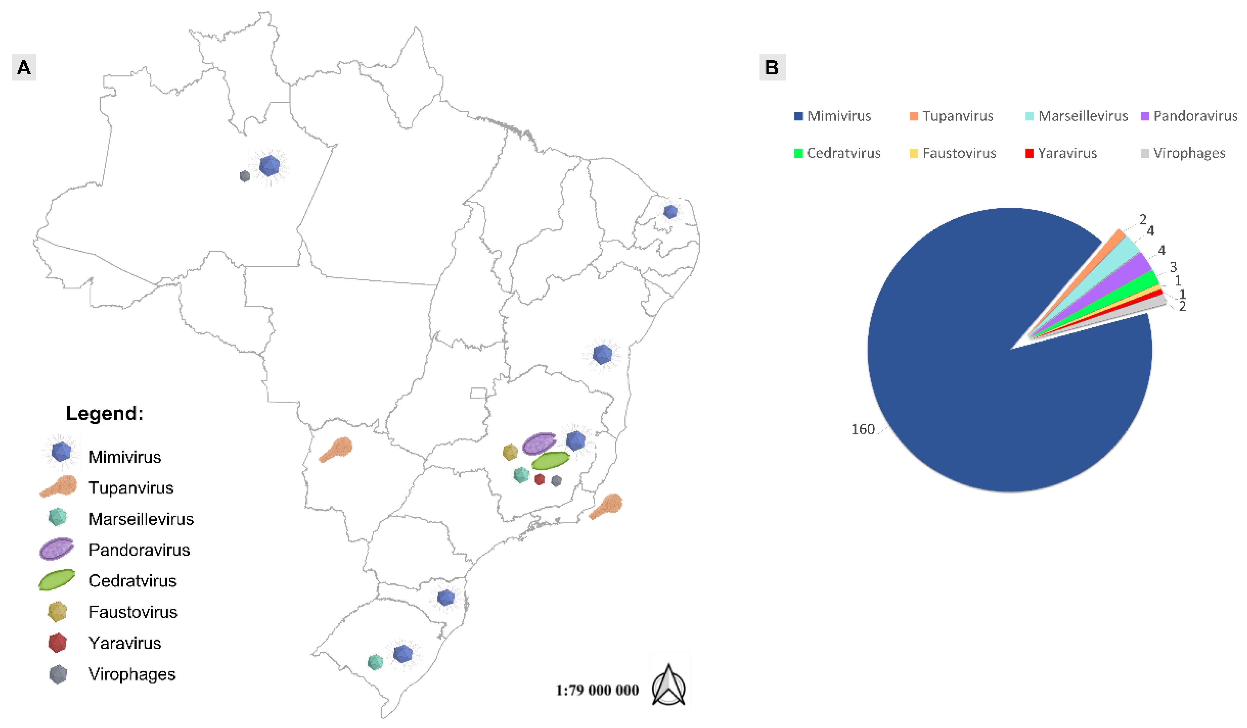 Viruses 14 00191 g001 Viruses 14 00191 g001