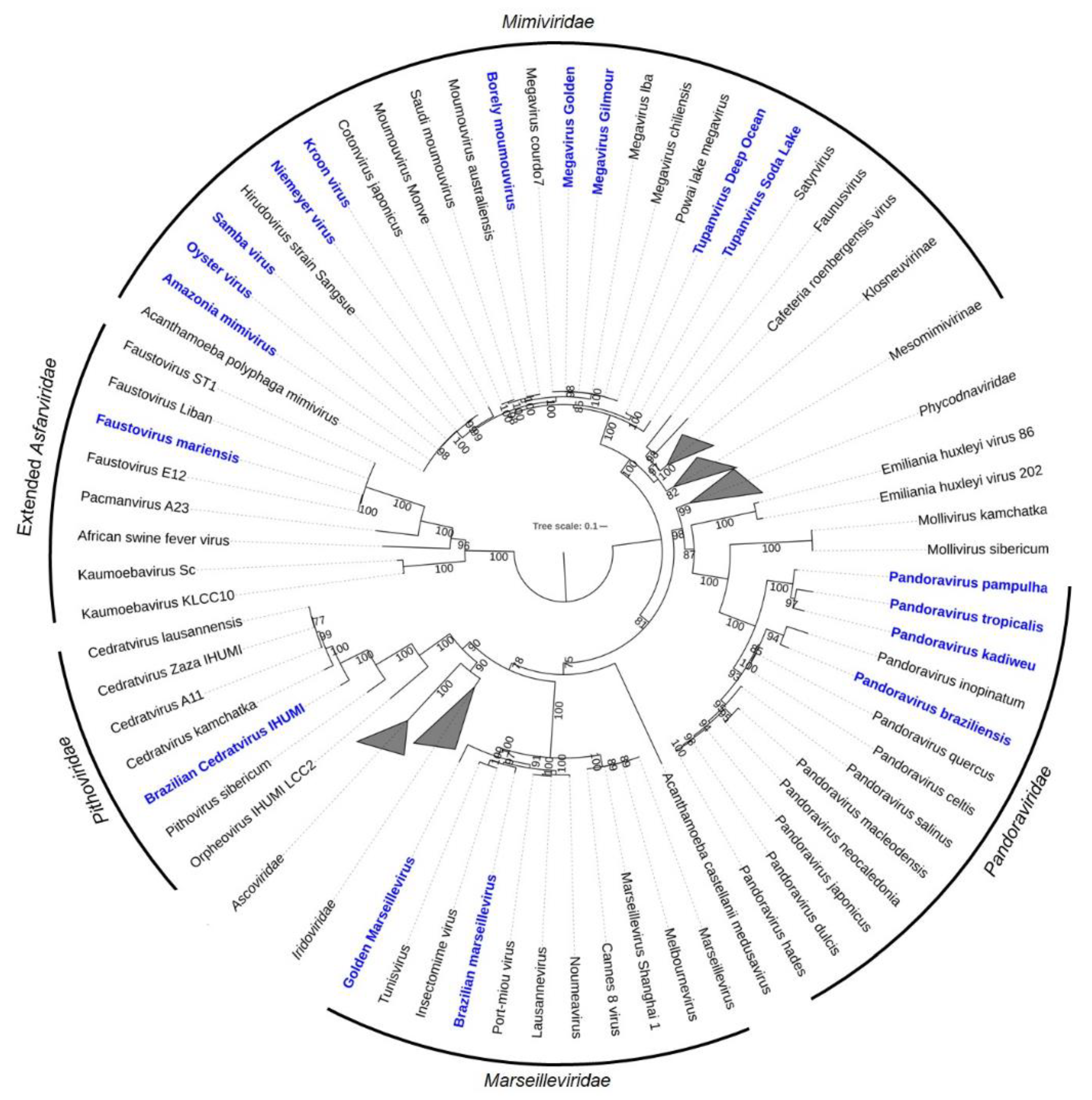 Viruses 14 00191 g003 Viruses 14 00191 g003
