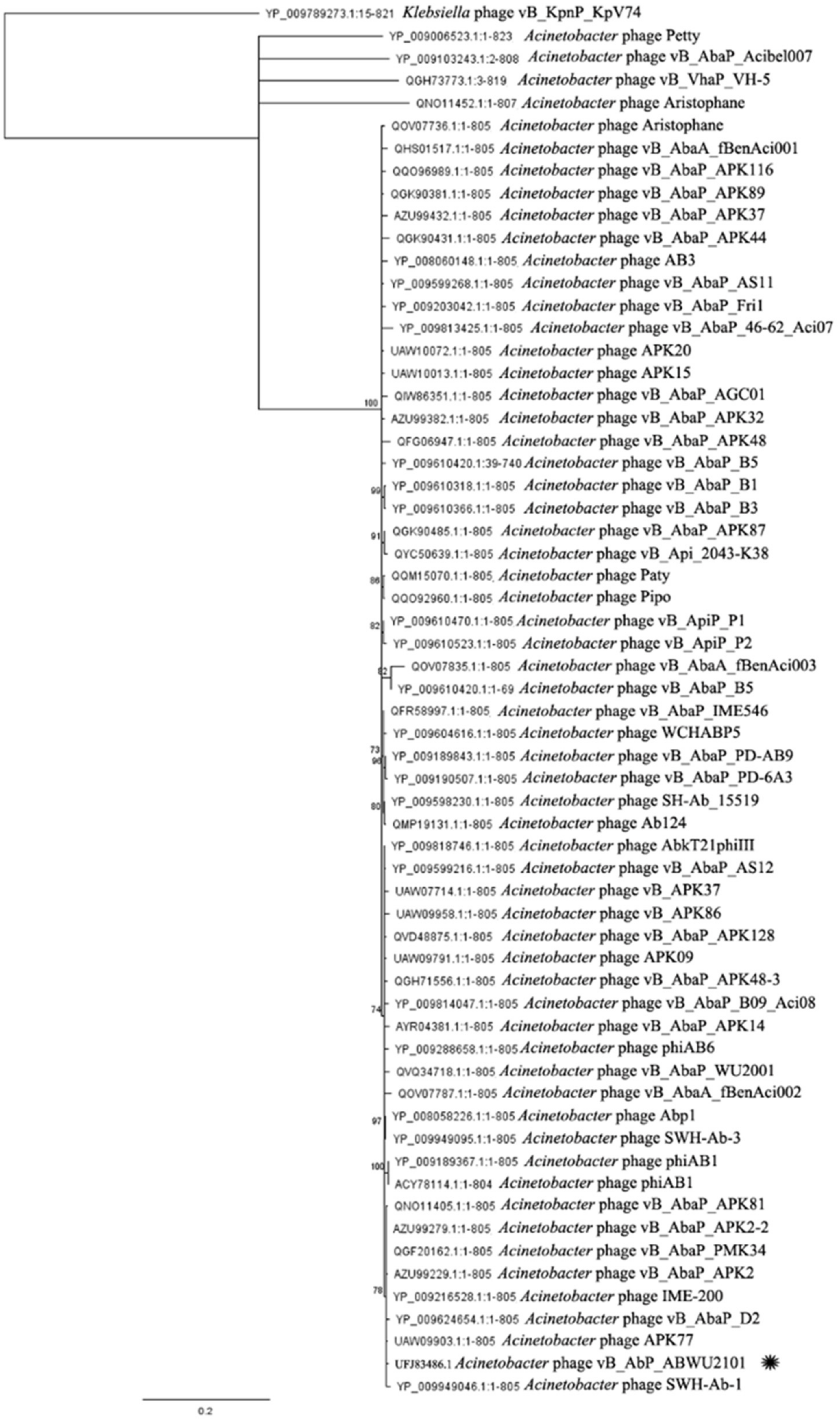 Viruses 14 00194 g005