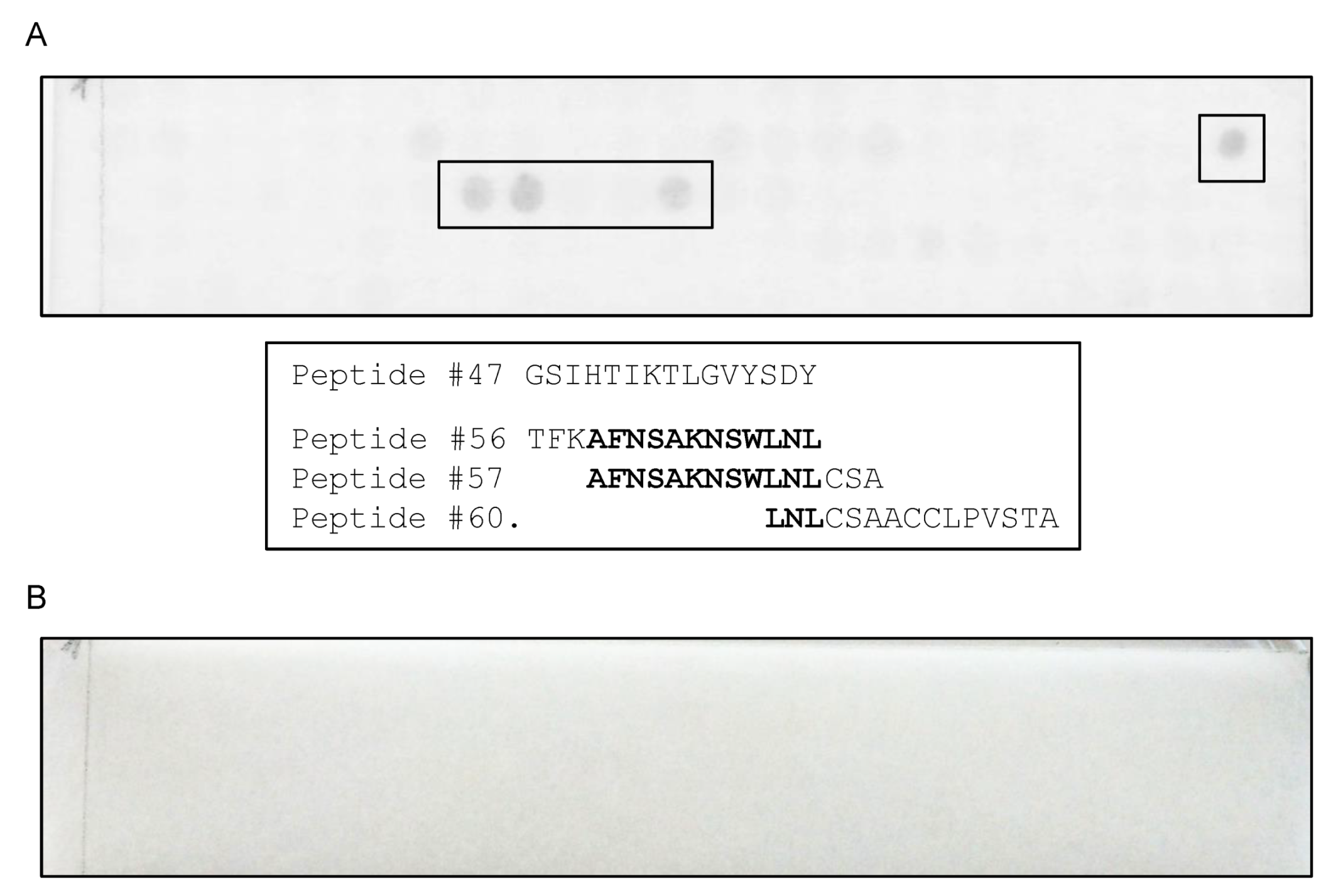 Viruses 14 00197 g004