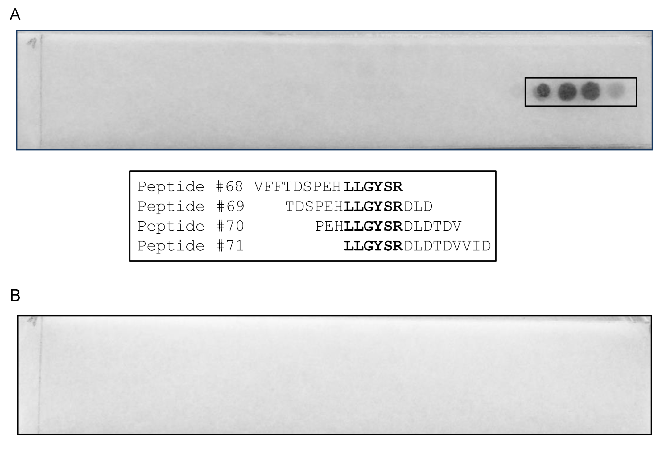 Viruses 14 00197 g005