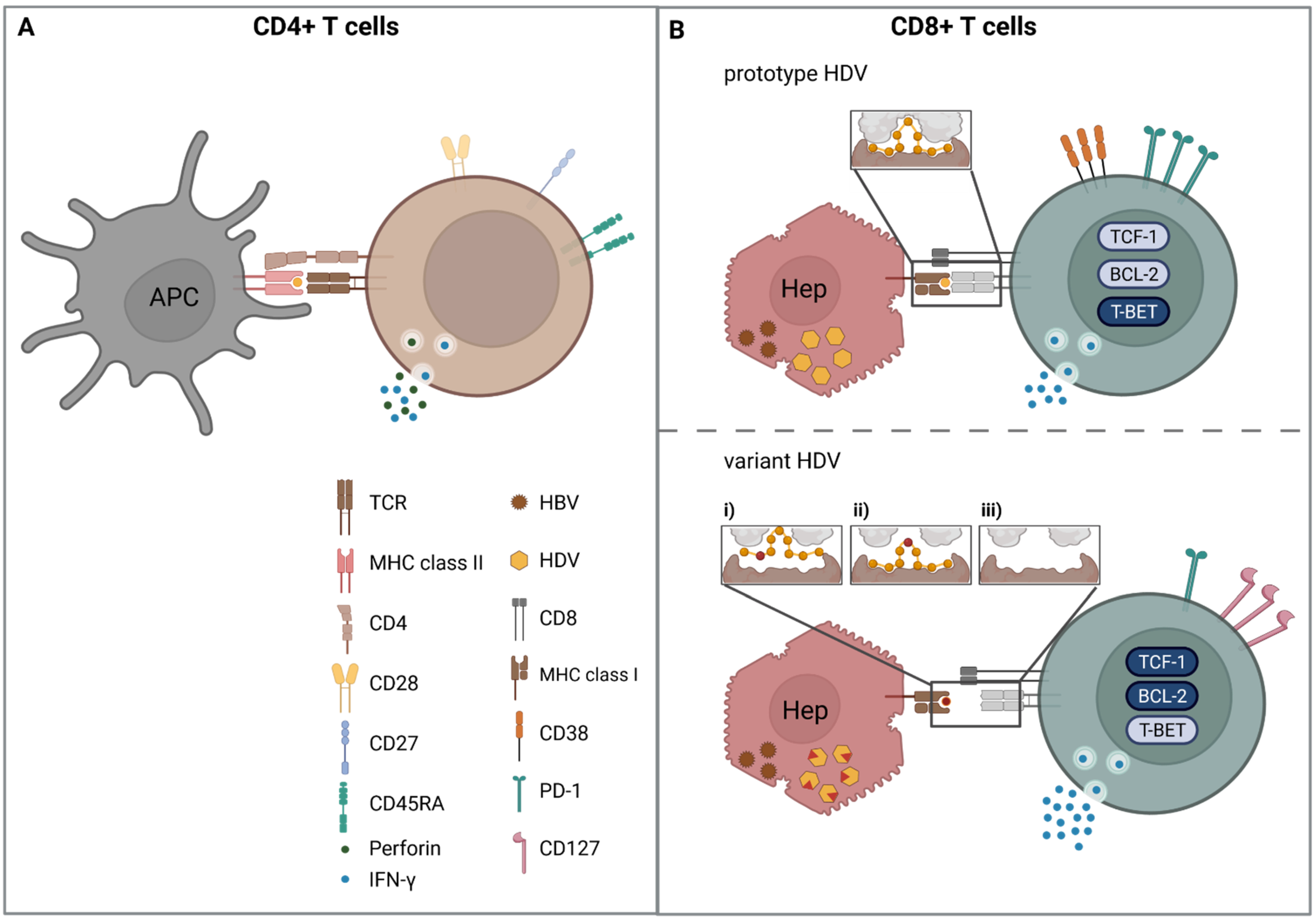 Flanking Tactics for Active Killer Response