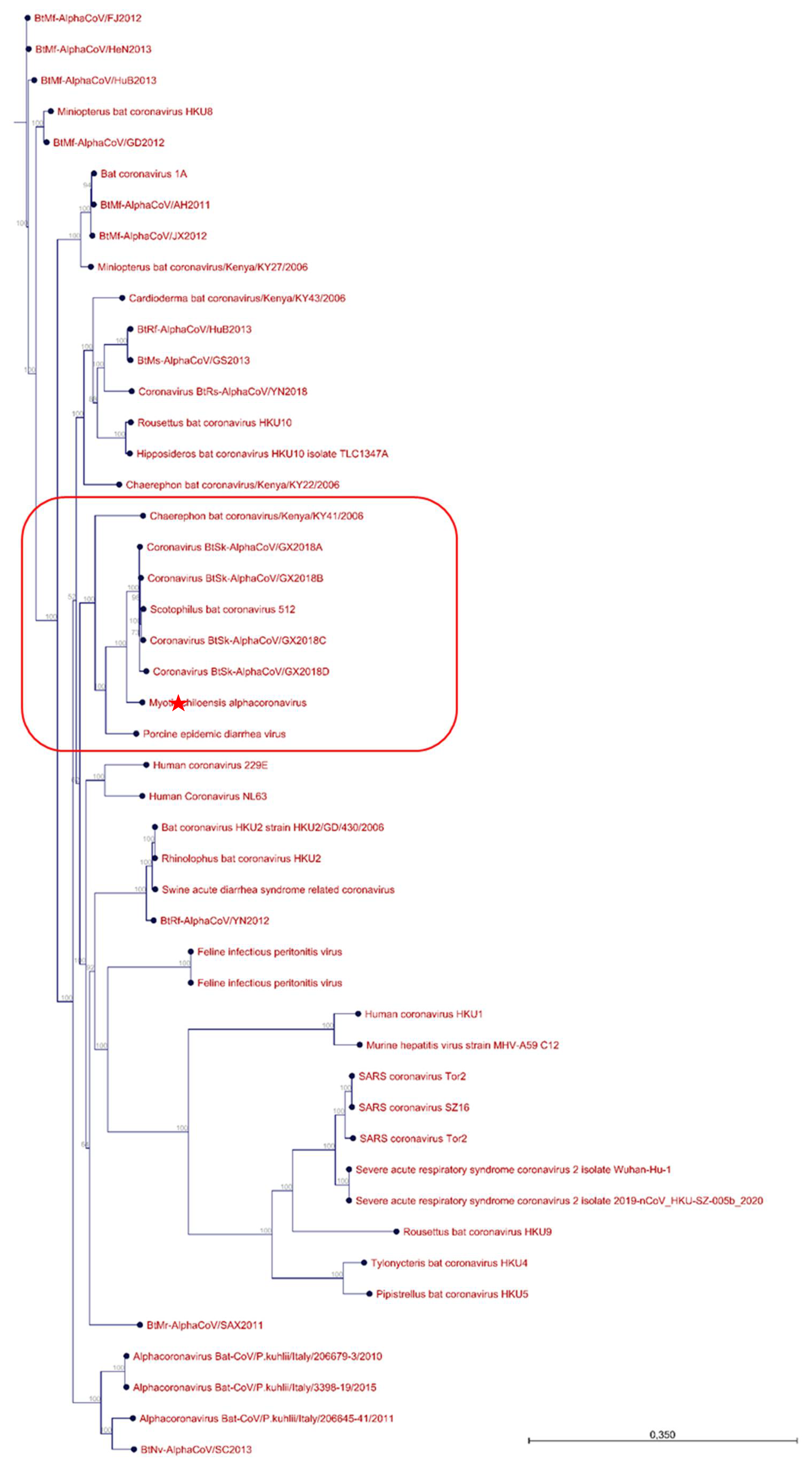 Viruses 14 00202 g004