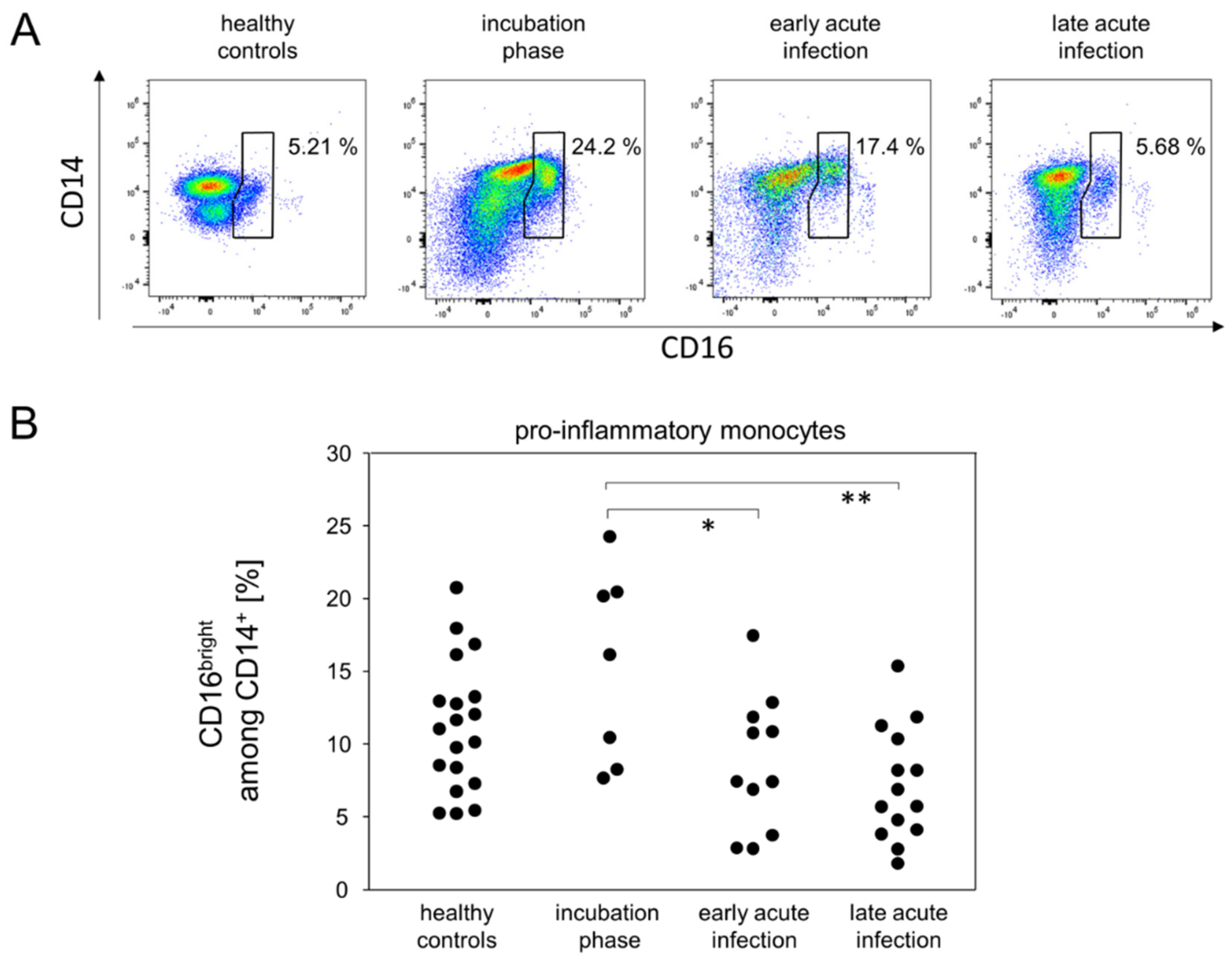 Viruses 14 00203 g003