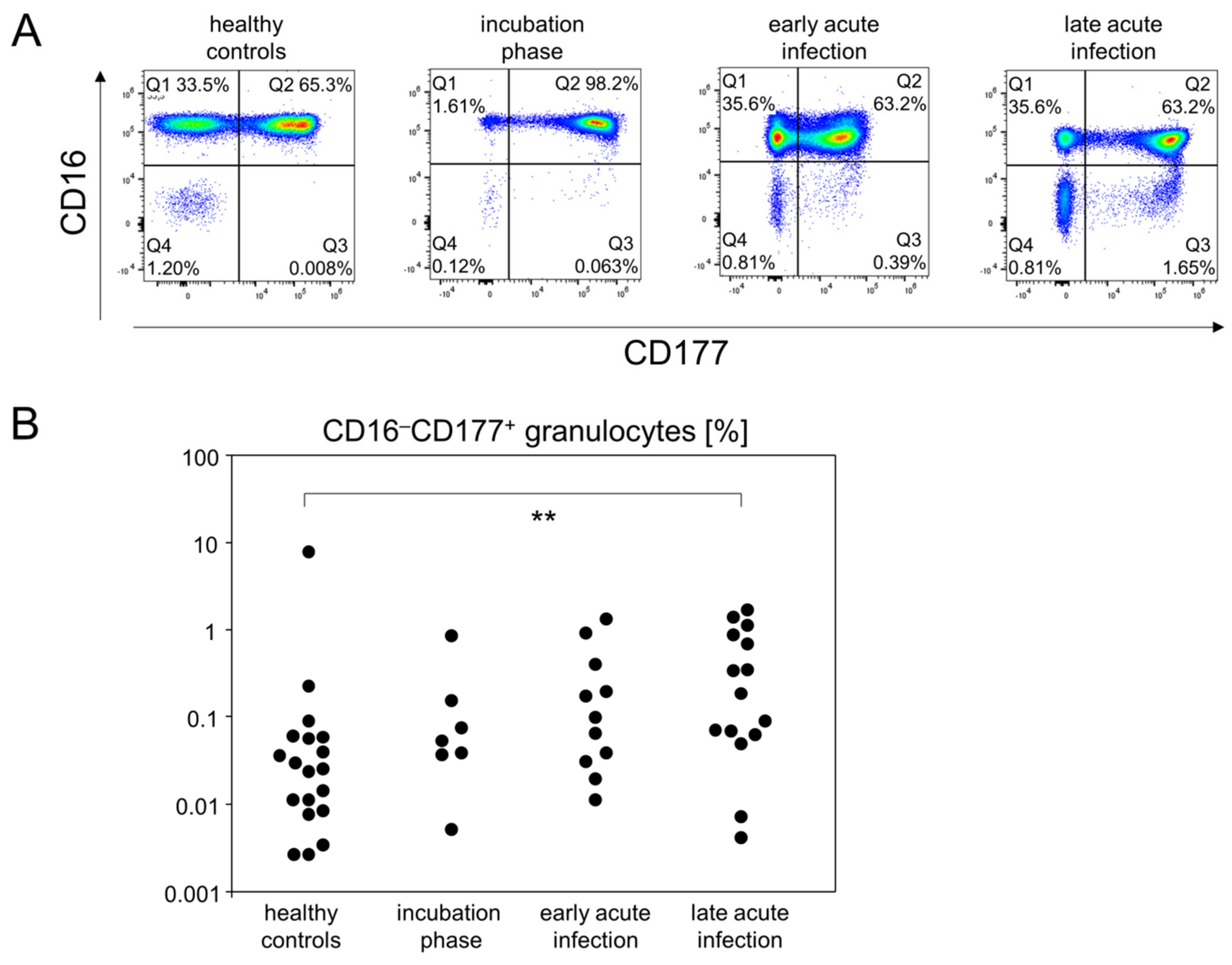 Viruses 14 00203 g004