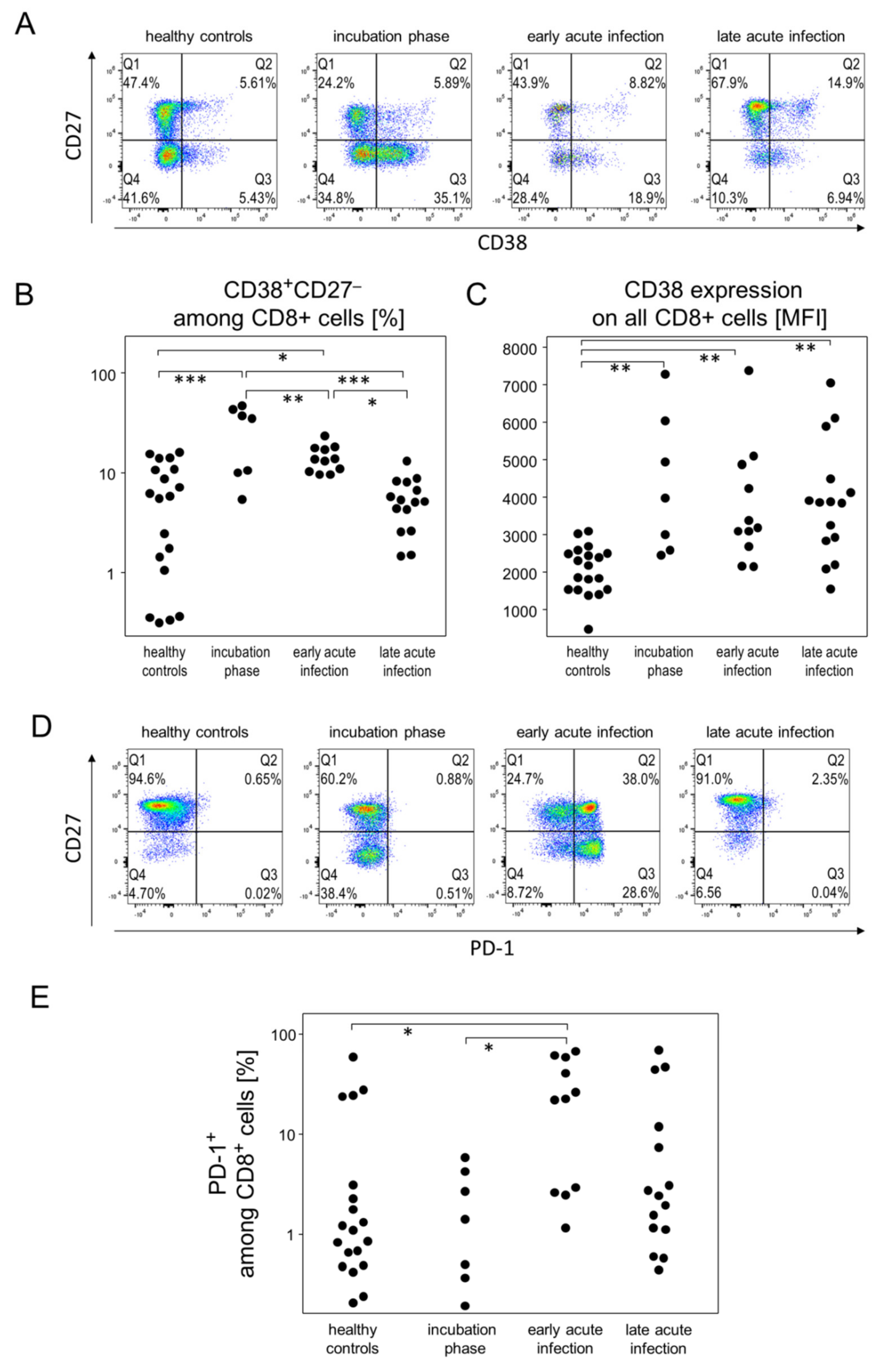 Viruses 14 00203 g005