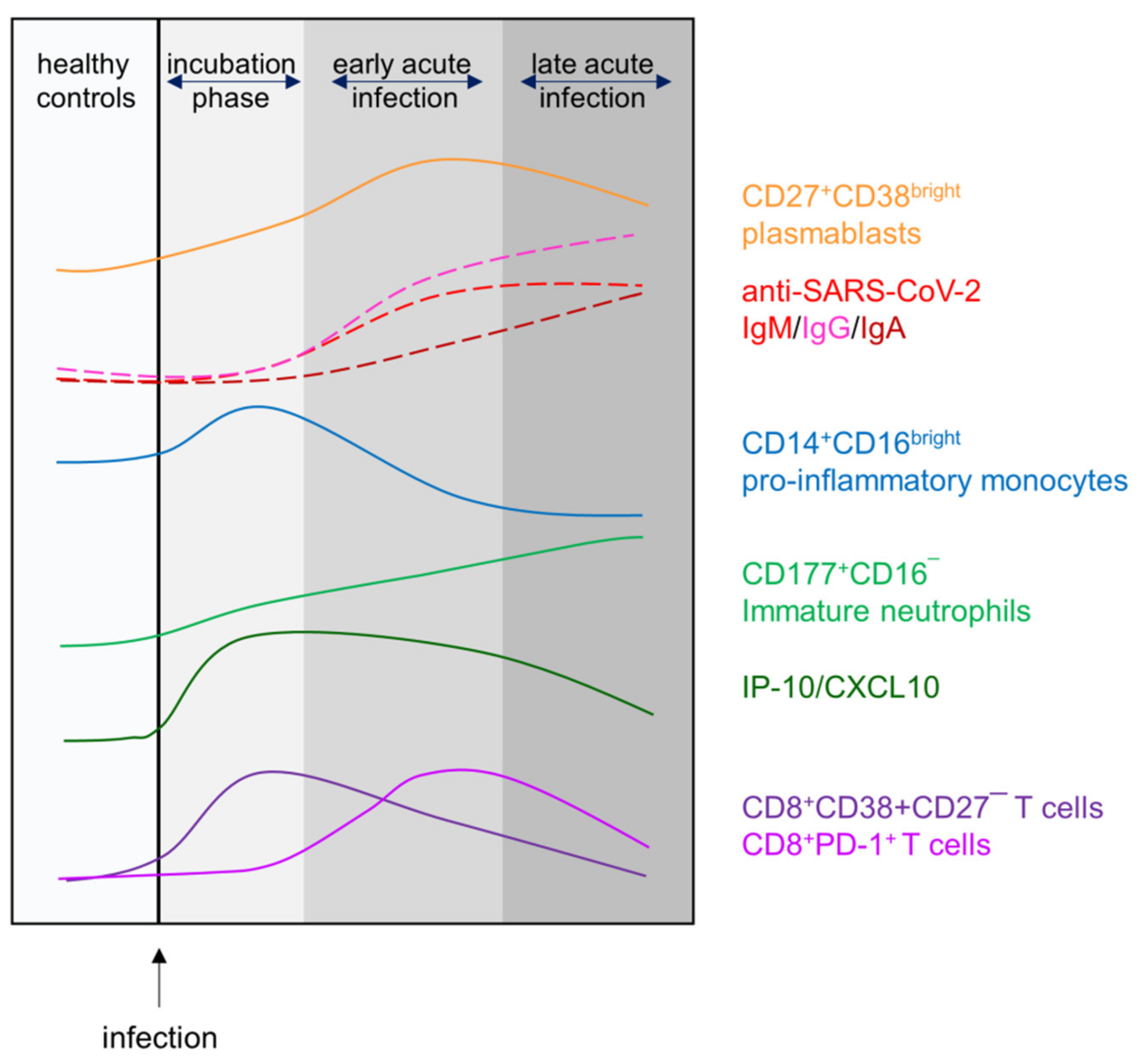 Viruses 14 00203 g008