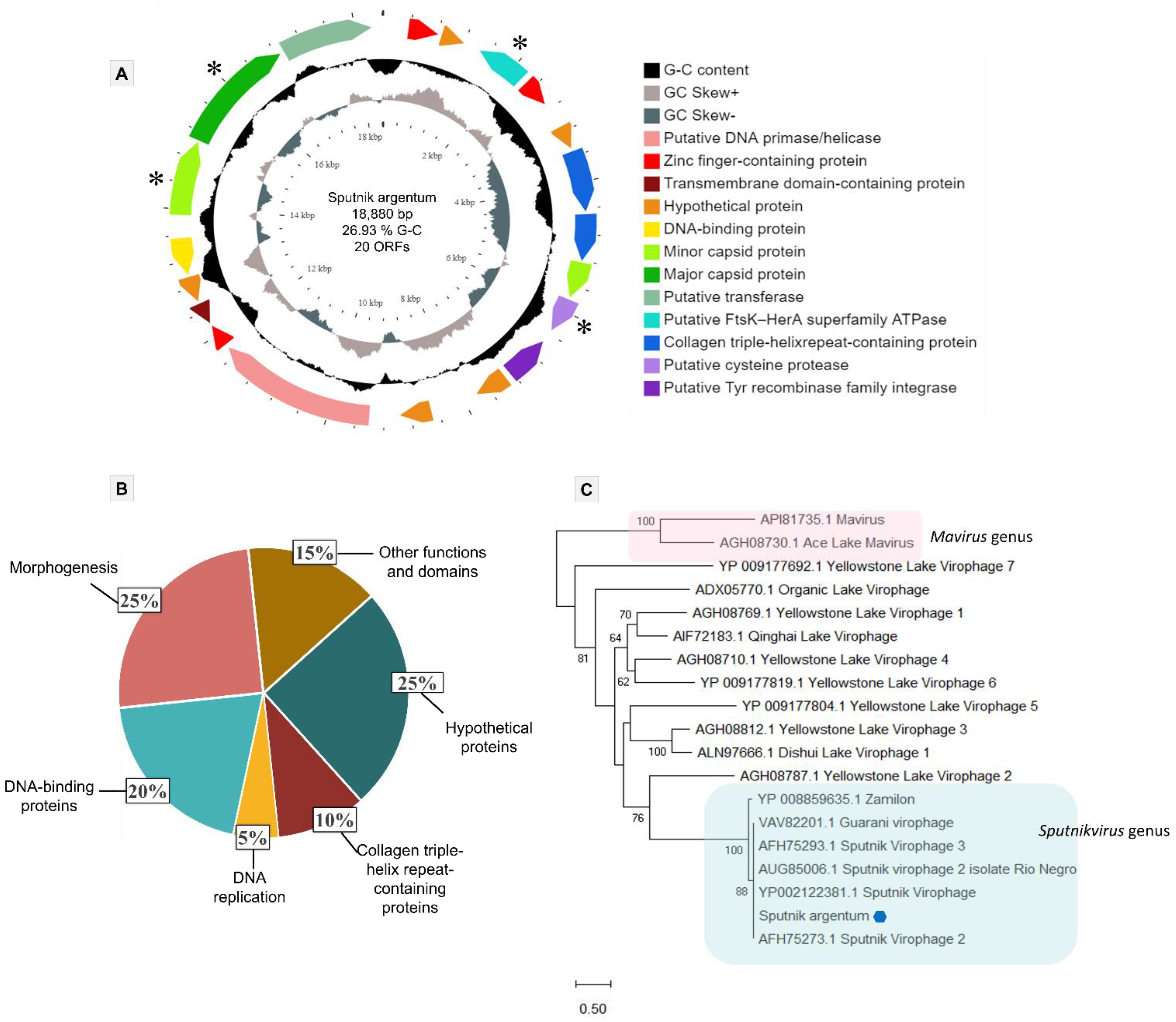 Viruses 14 00206 g003