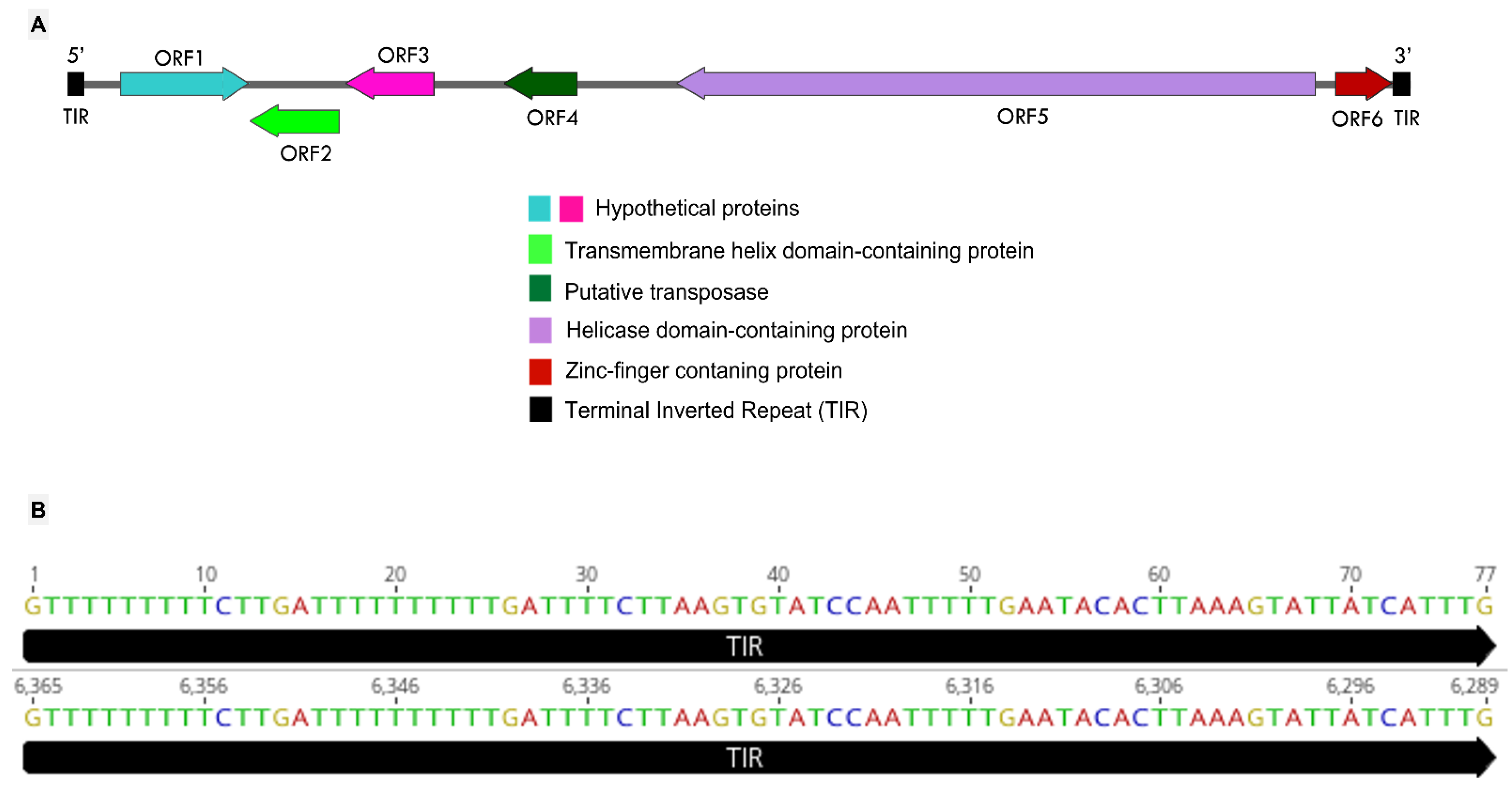 Viruses 14 00206 g004