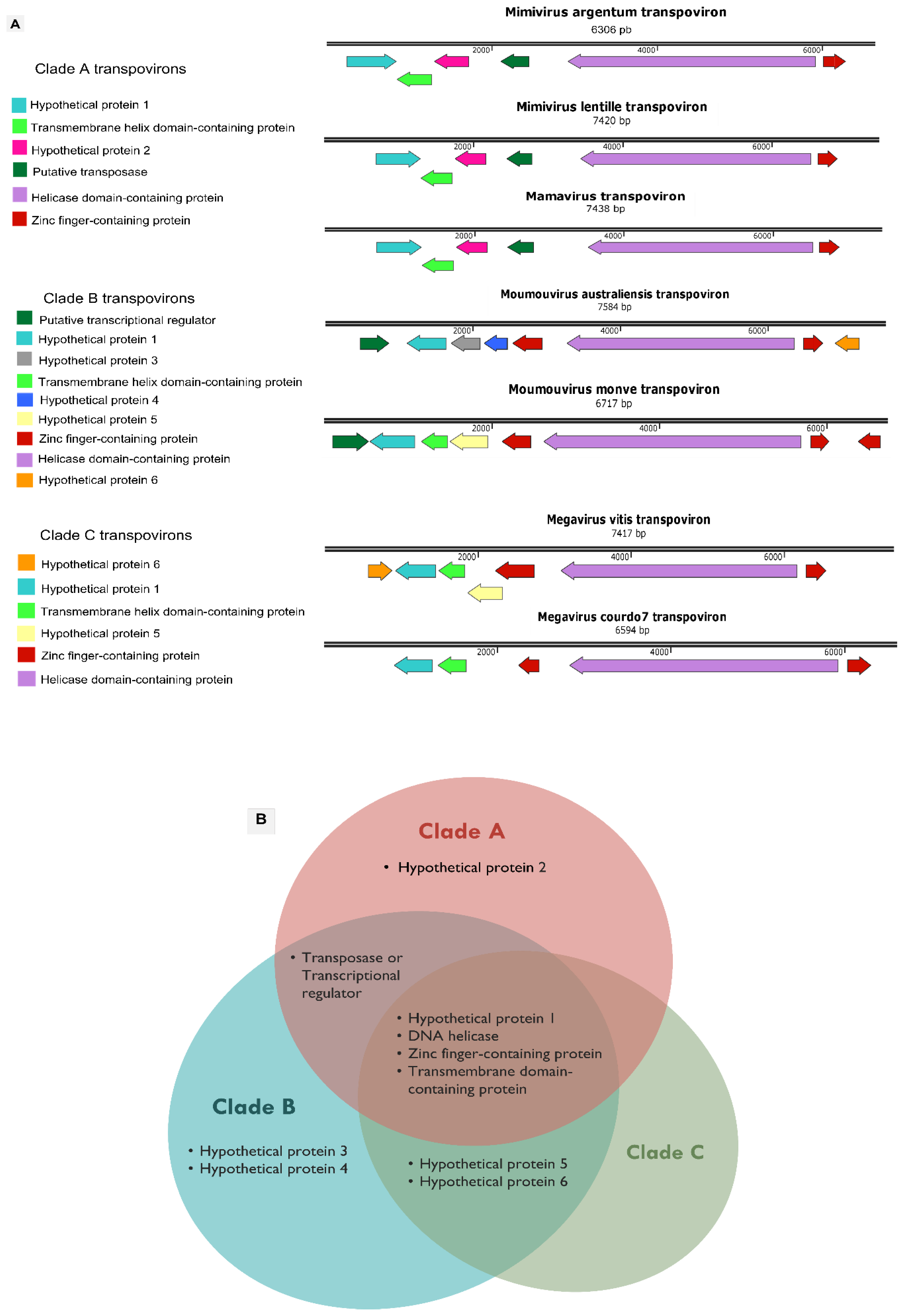 Viruses 14 00206 g005