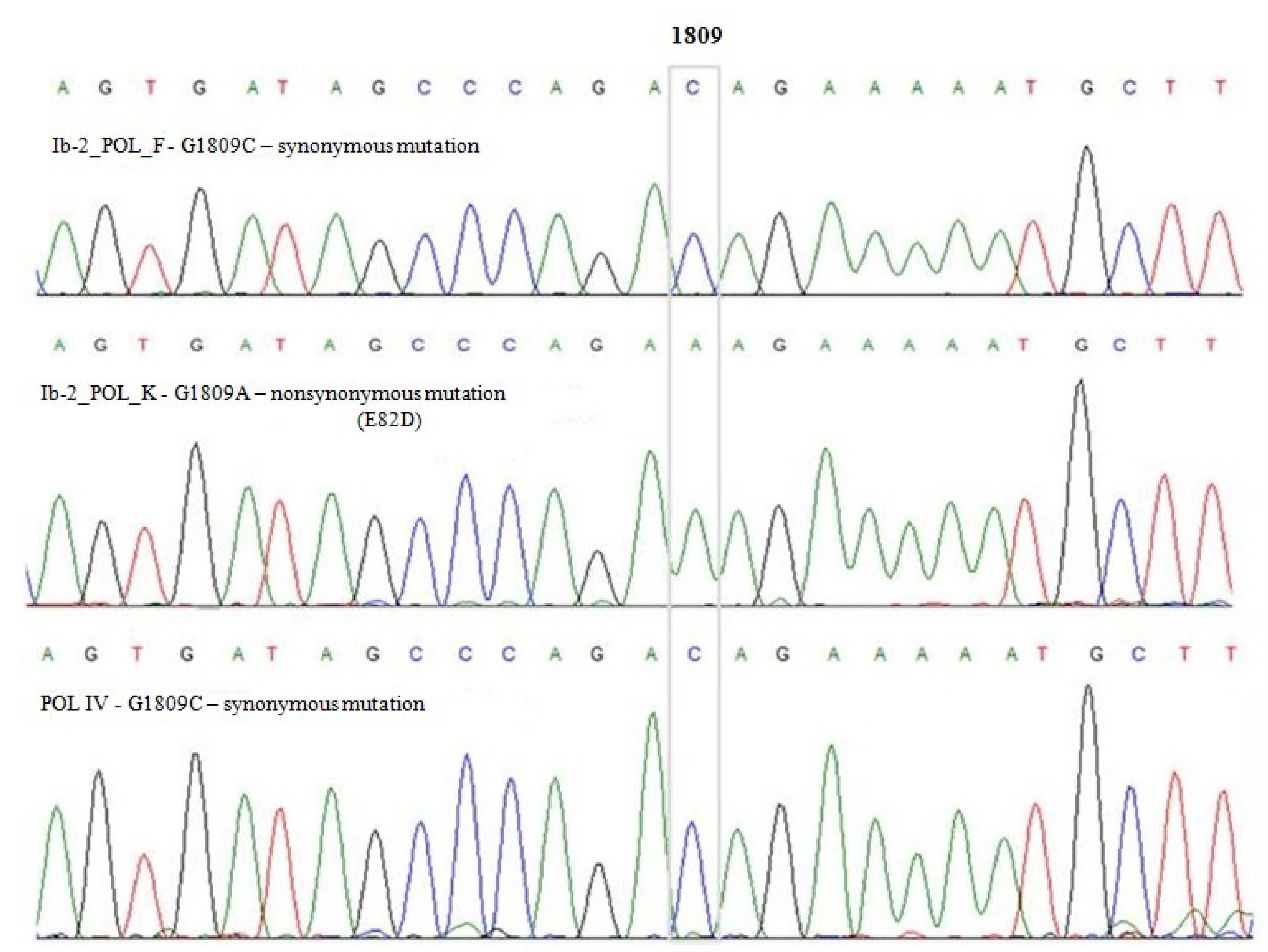 Viruses 14 00209 g003 Viruses 14 00209 g003