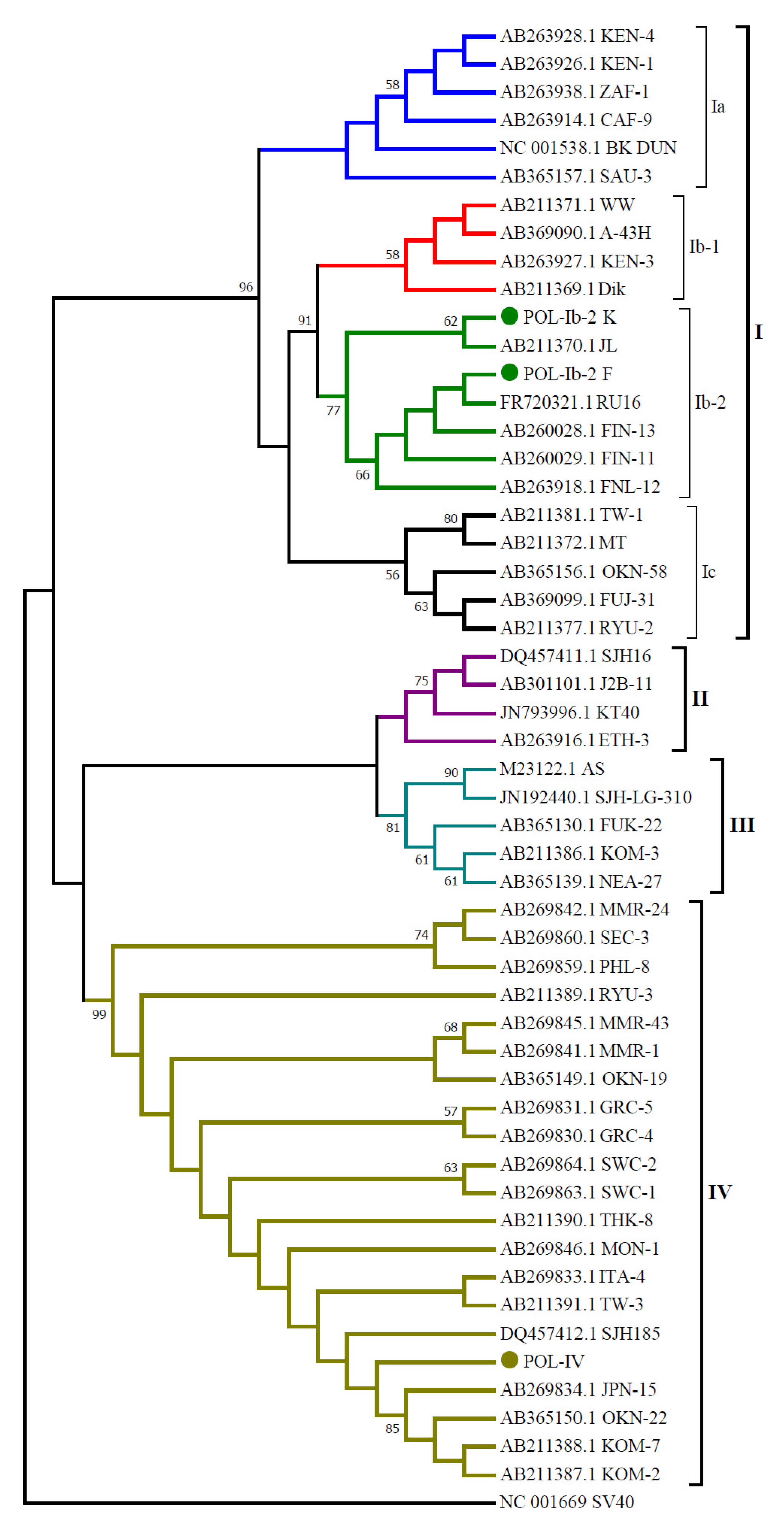 Viruses 14 00209 g004 Viruses 14 00209 g004
