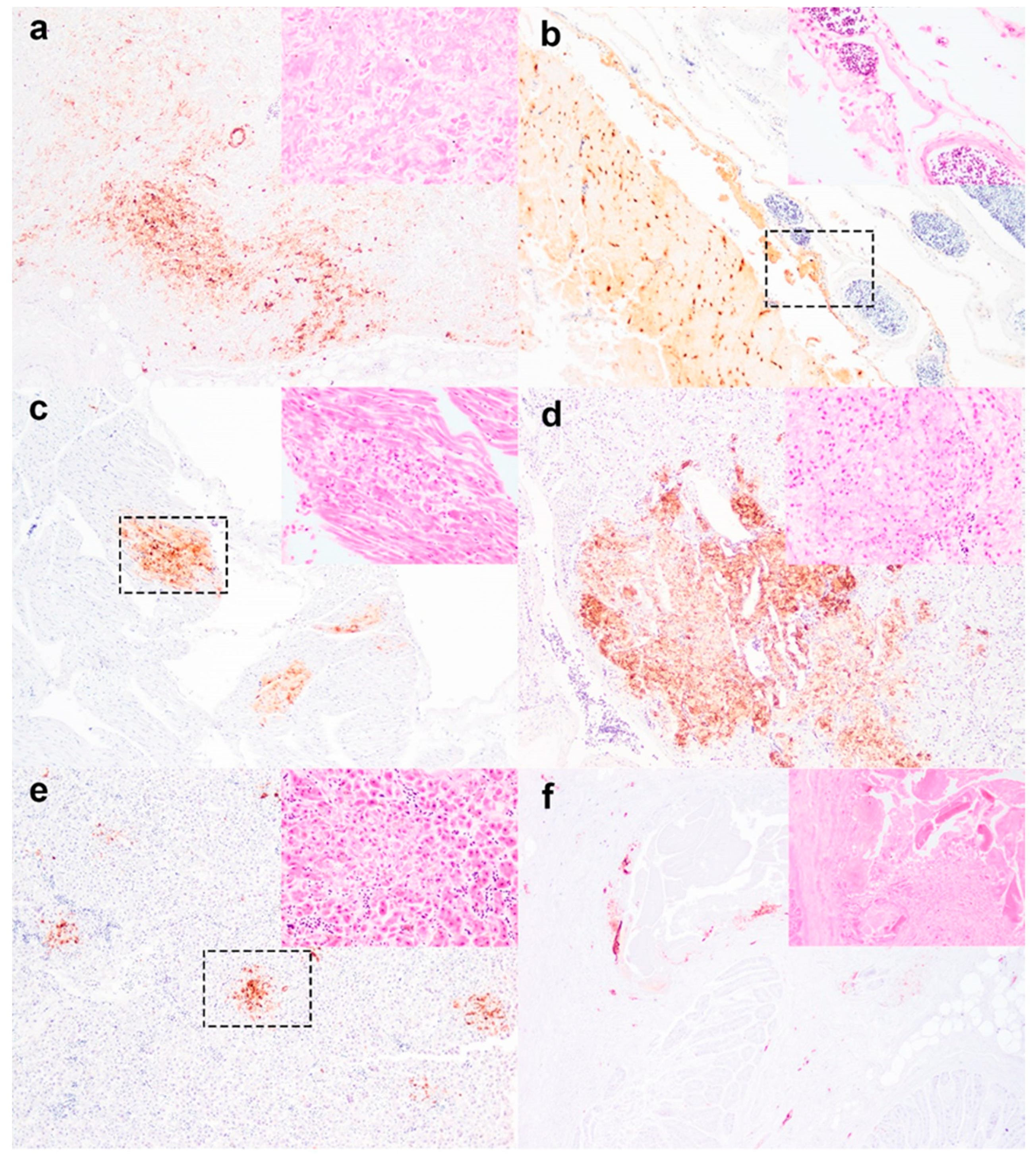 Viruses 14 00212 g002