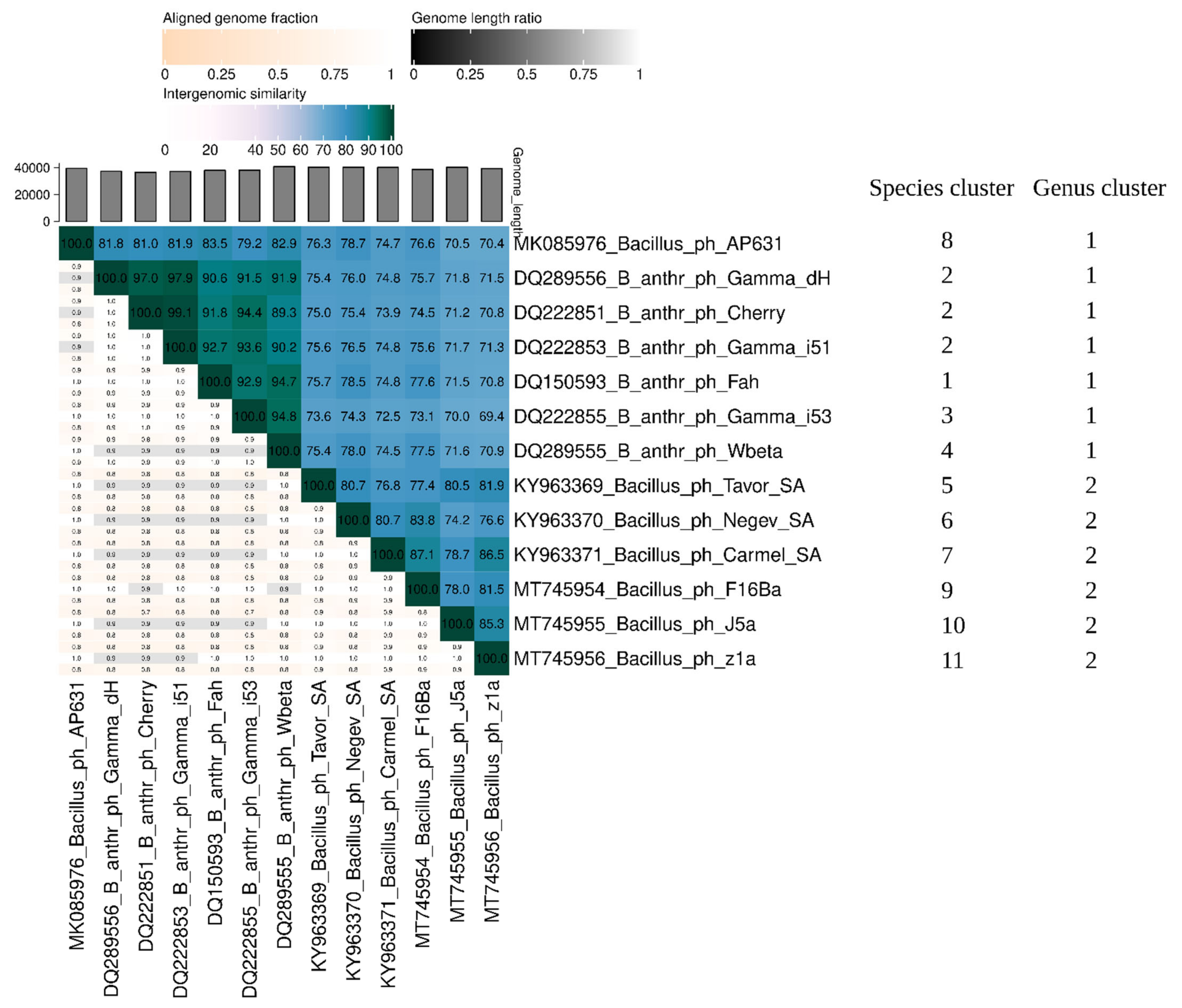 Viruses 14 00213 g007