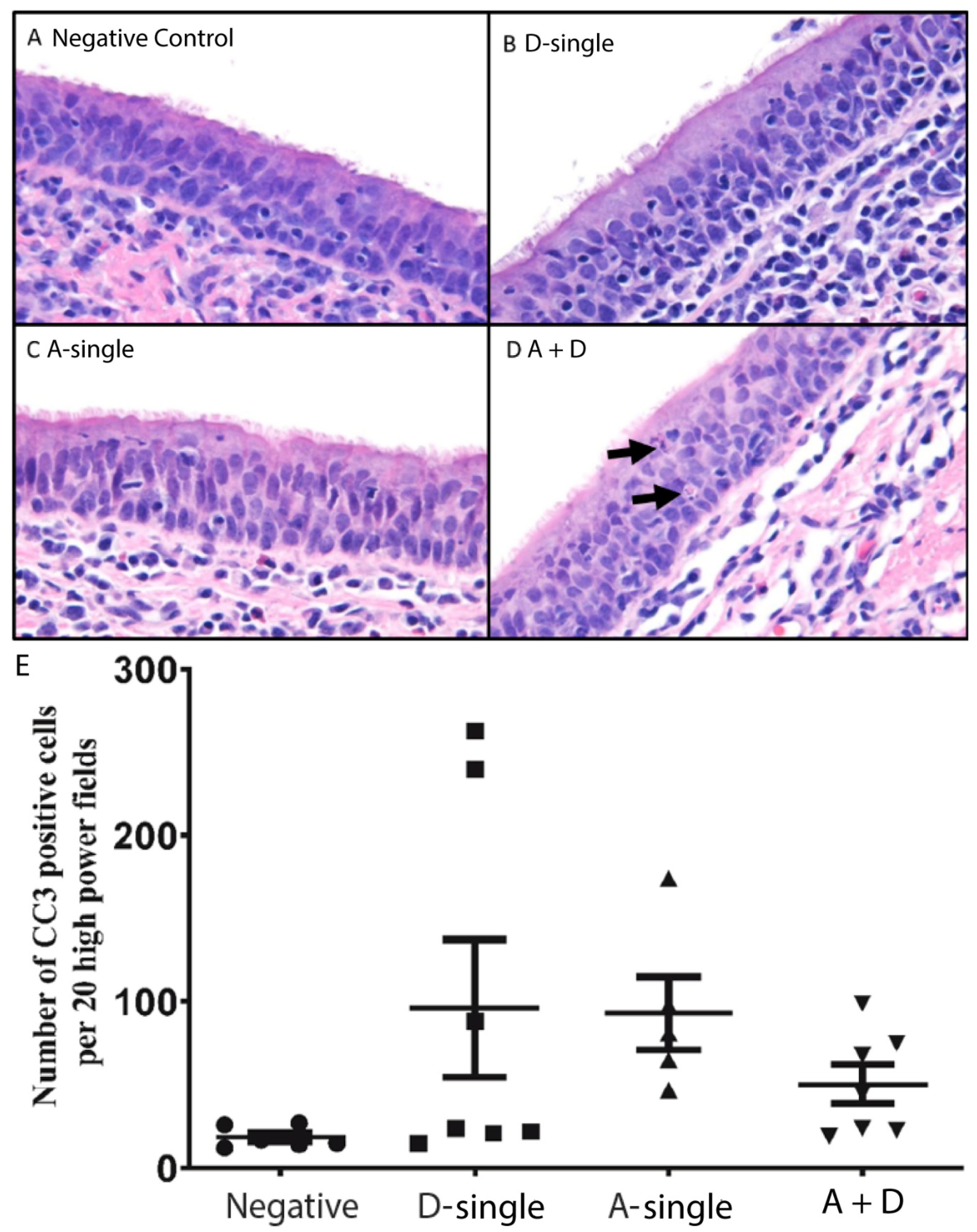 Viruses 14 00224 g006