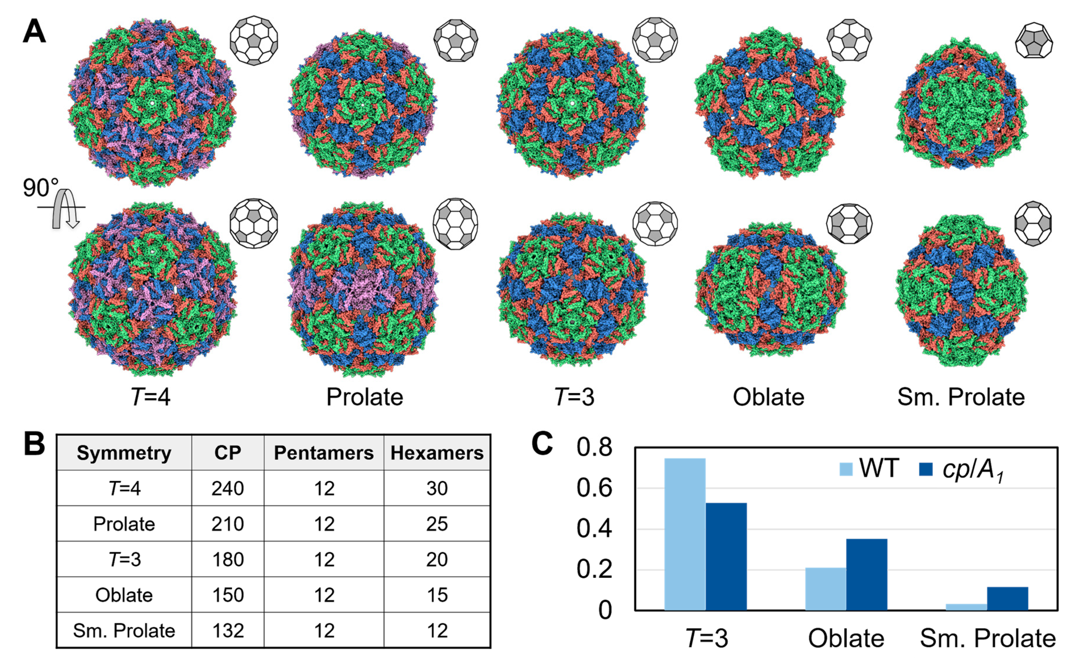 Viruses 14 00225 g003