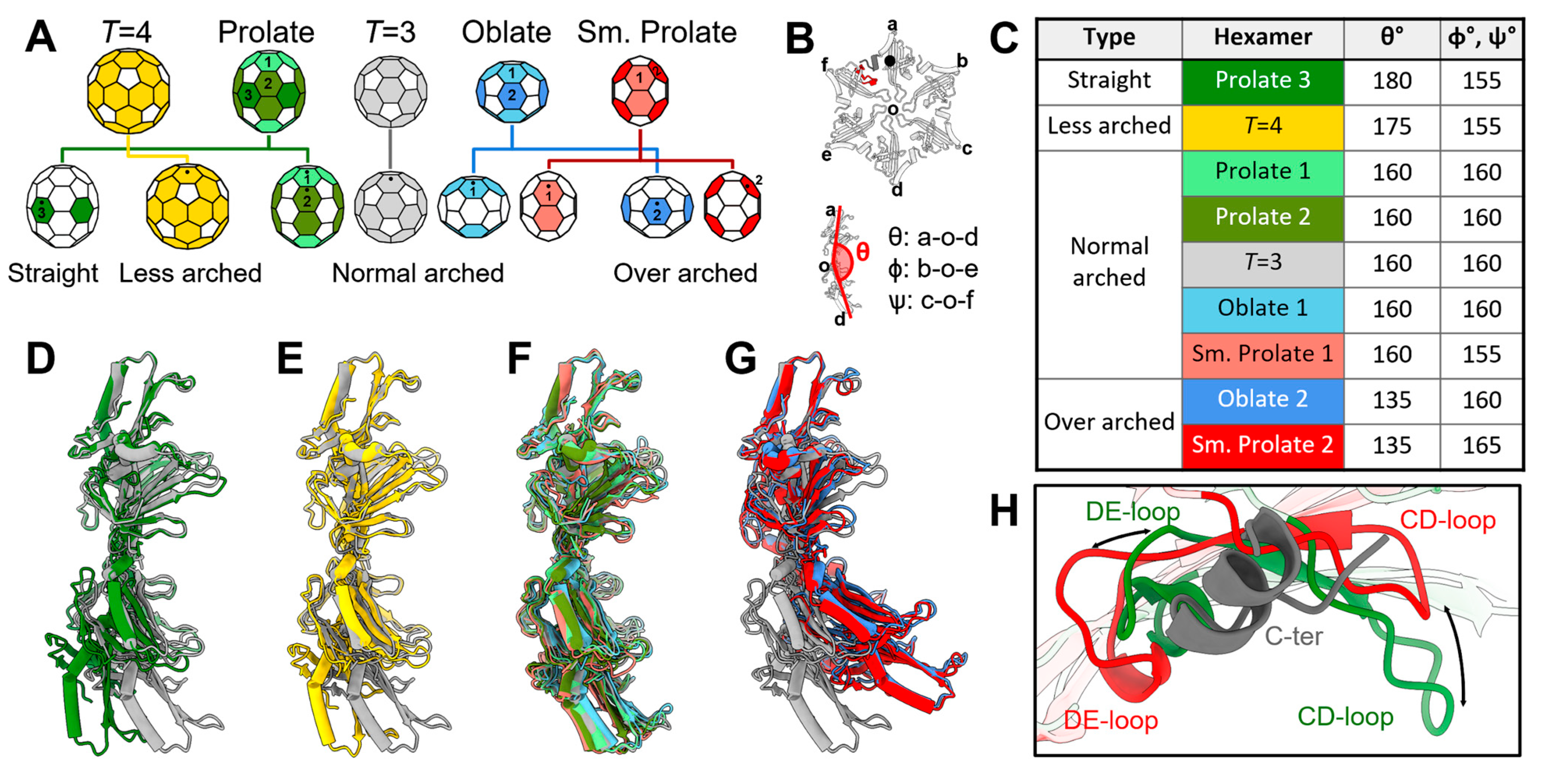 Viruses 14 00225 g004