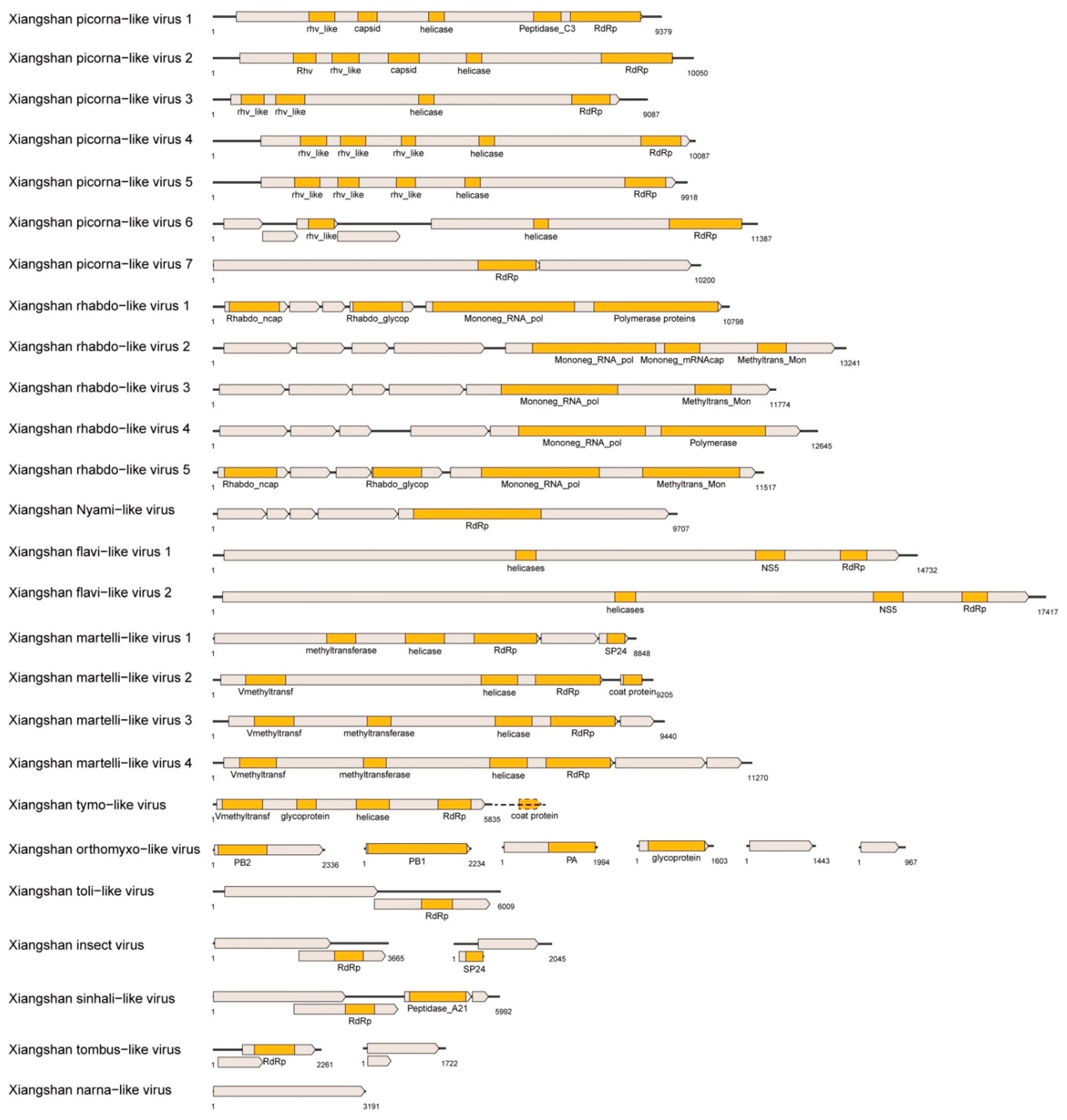 Viruses 14 00227 g001 550