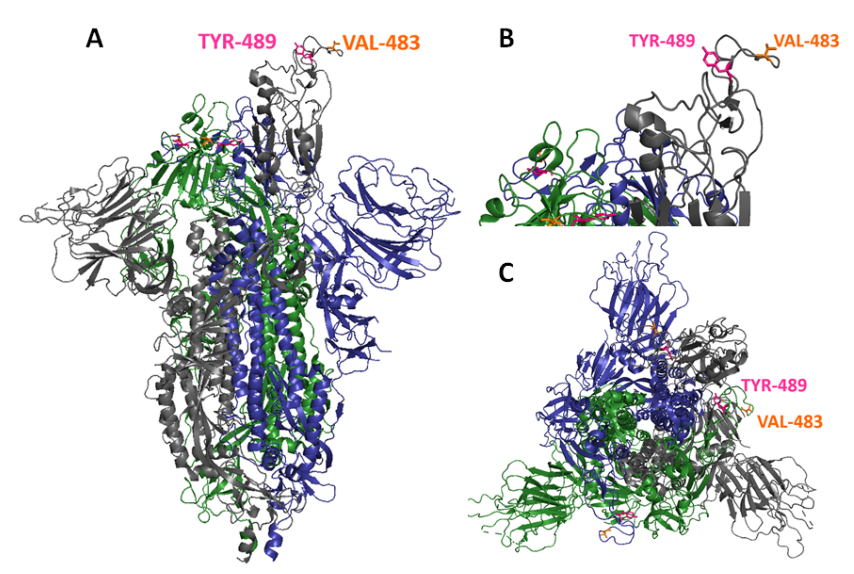 Viruses 14 00230 g003