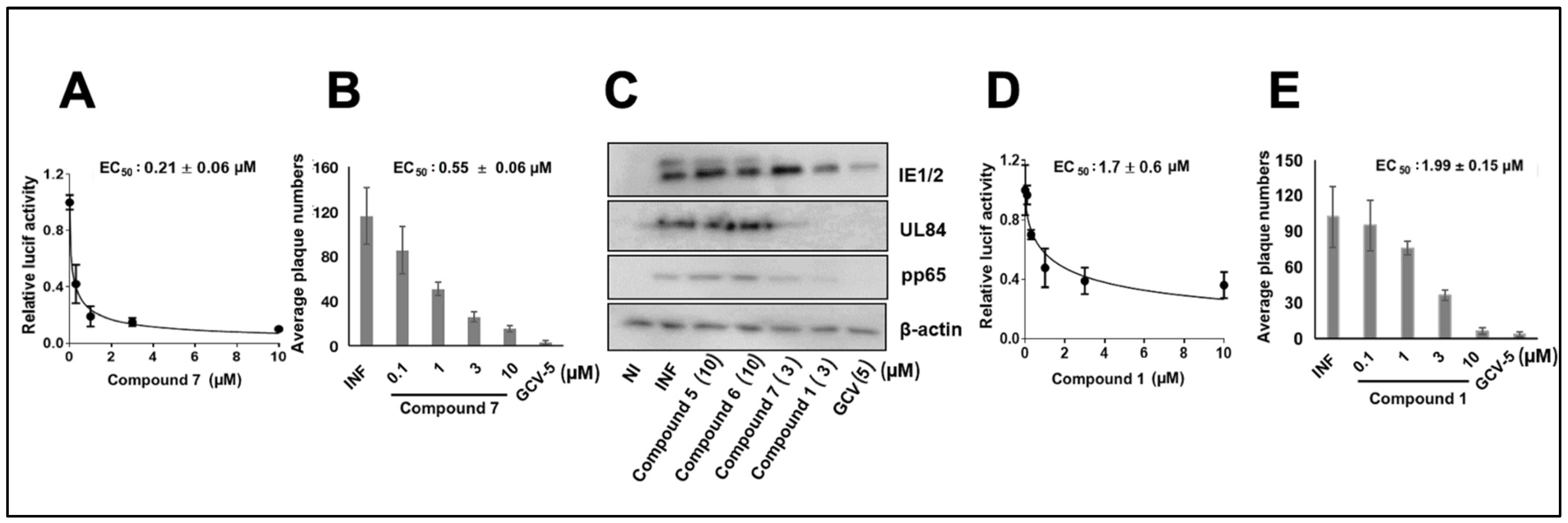 Viruses 14 00234 g001