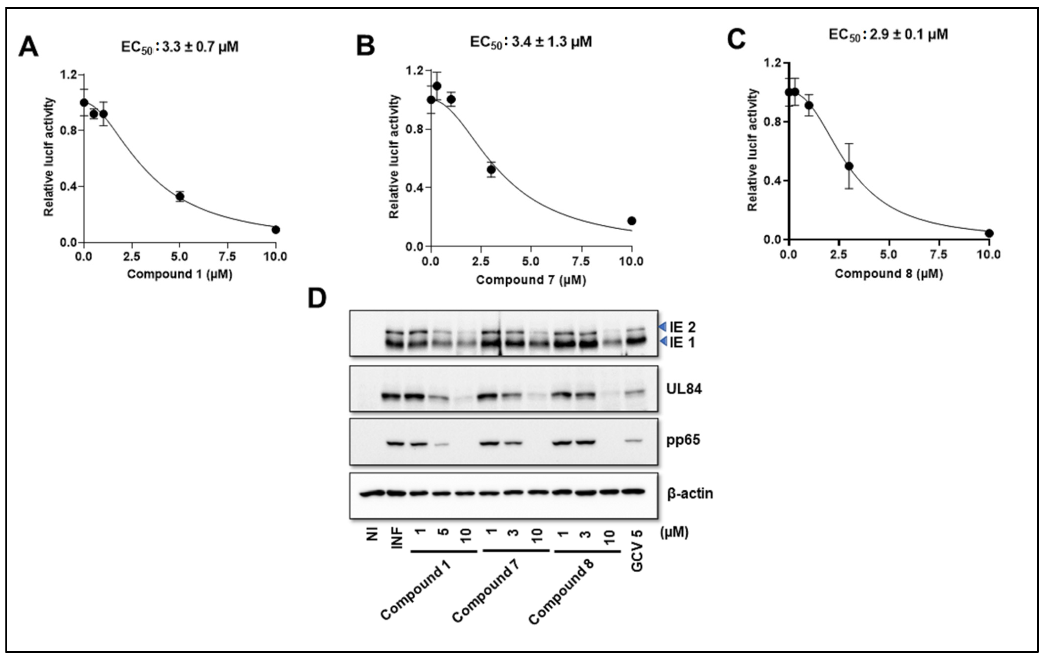 Viruses 14 00234 g004