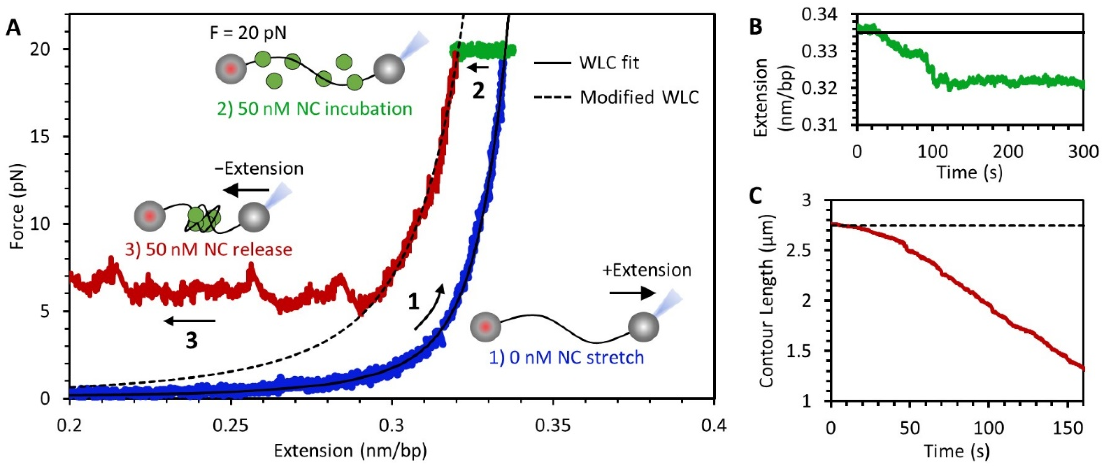 Viruses 14 00235 g003 Viruses 14 00235 g003