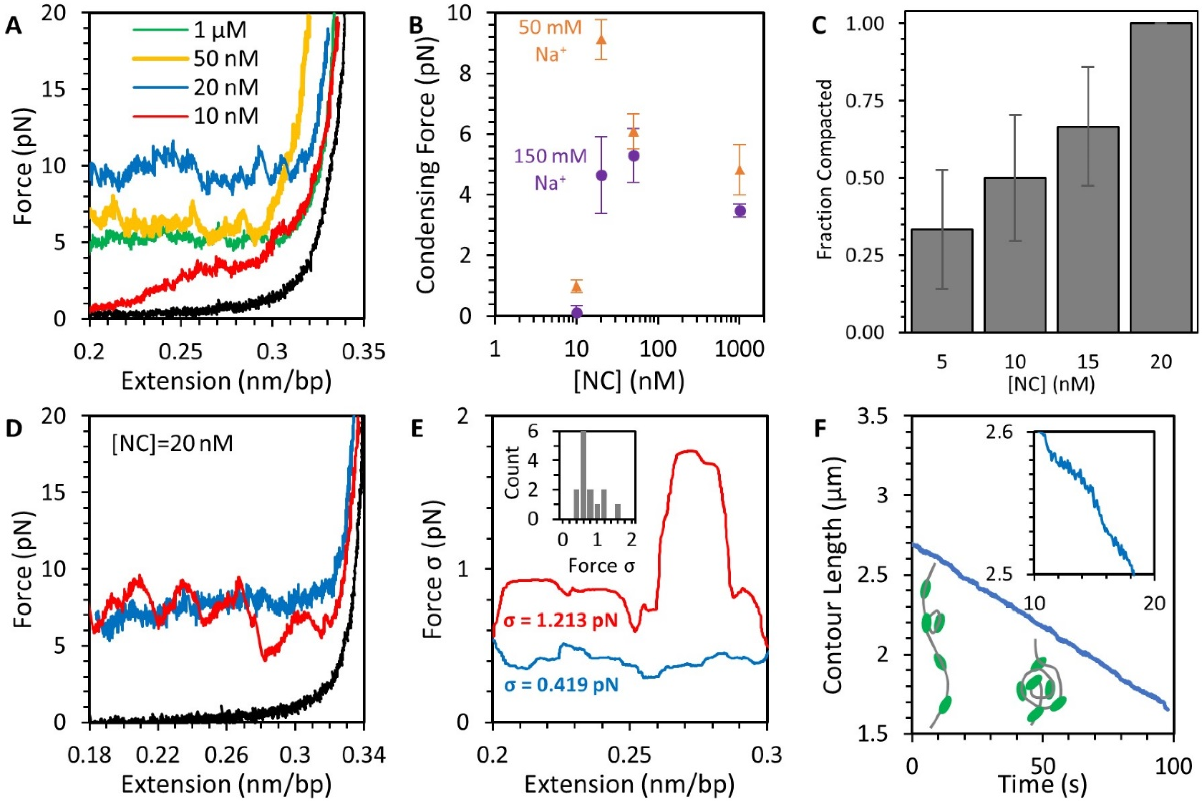 Viruses 14 00235 g005 Viruses 14 00235 g005
