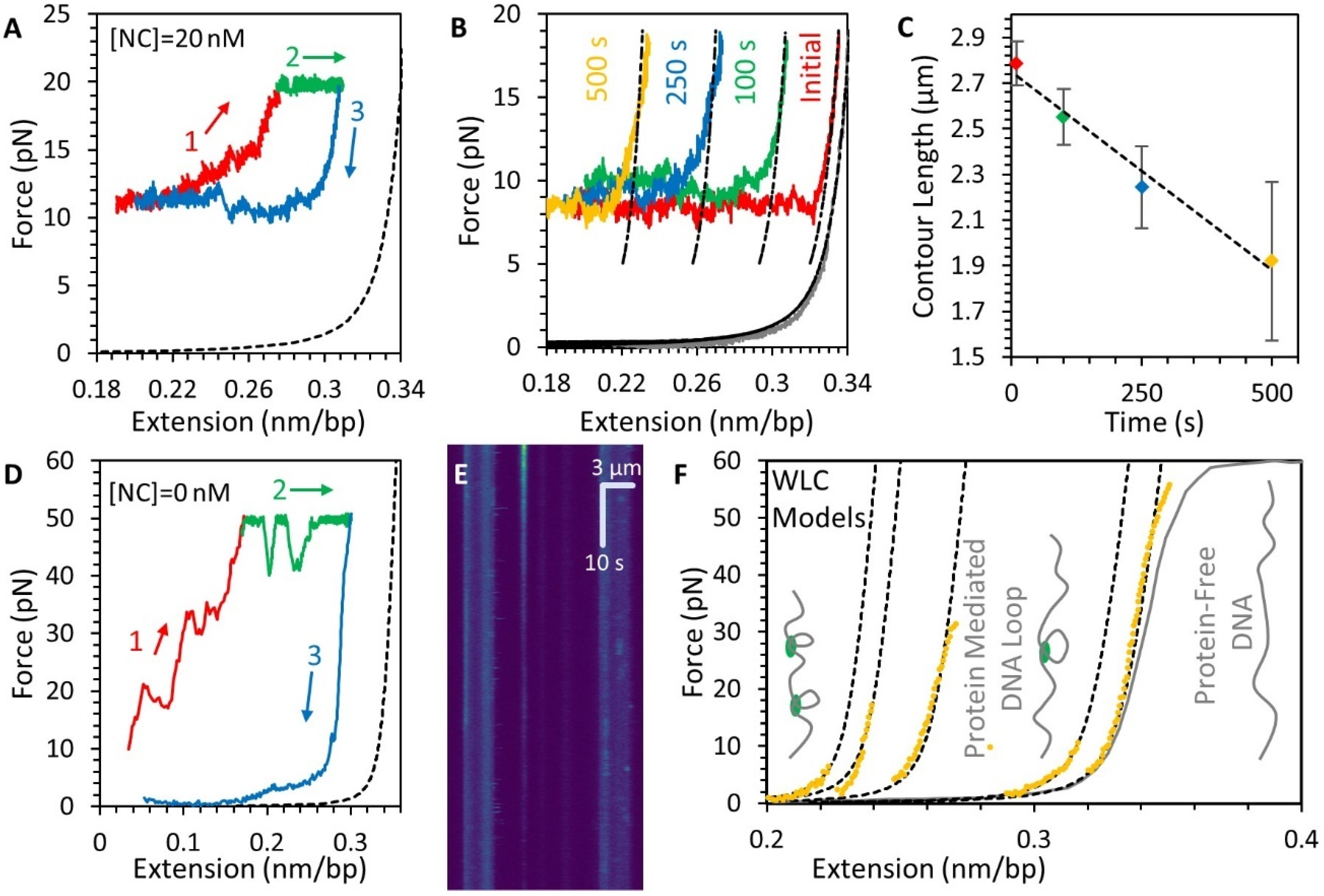 Viruses 14 00235 g006 Viruses 14 00235 g006