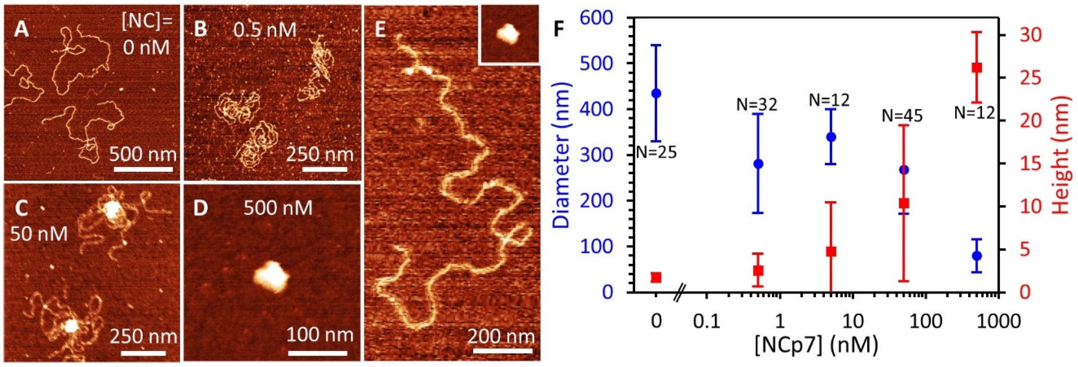 Viruses 14 00235 g008 Viruses 14 00235 g008