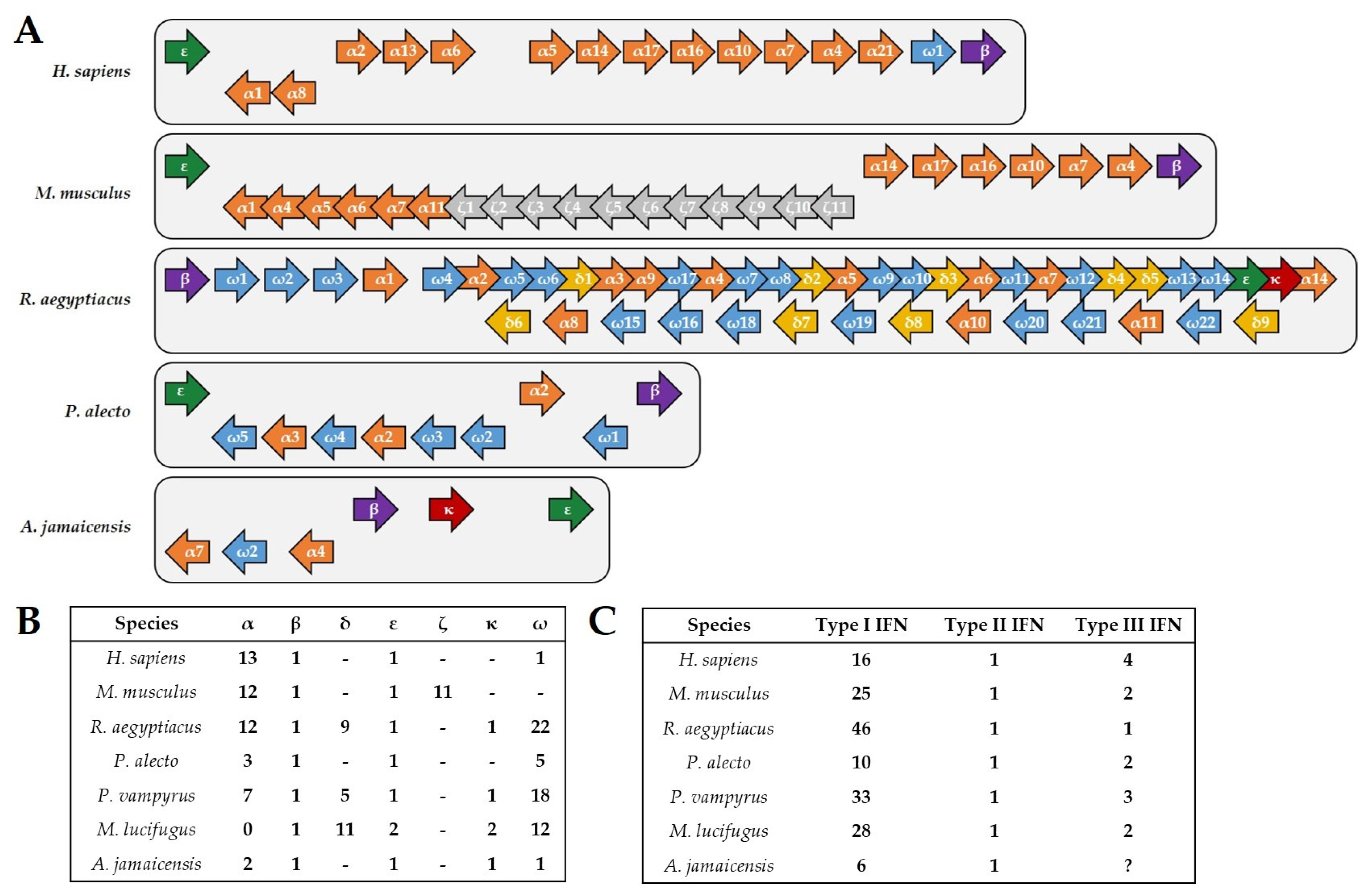 Viruses 14 00238 g001