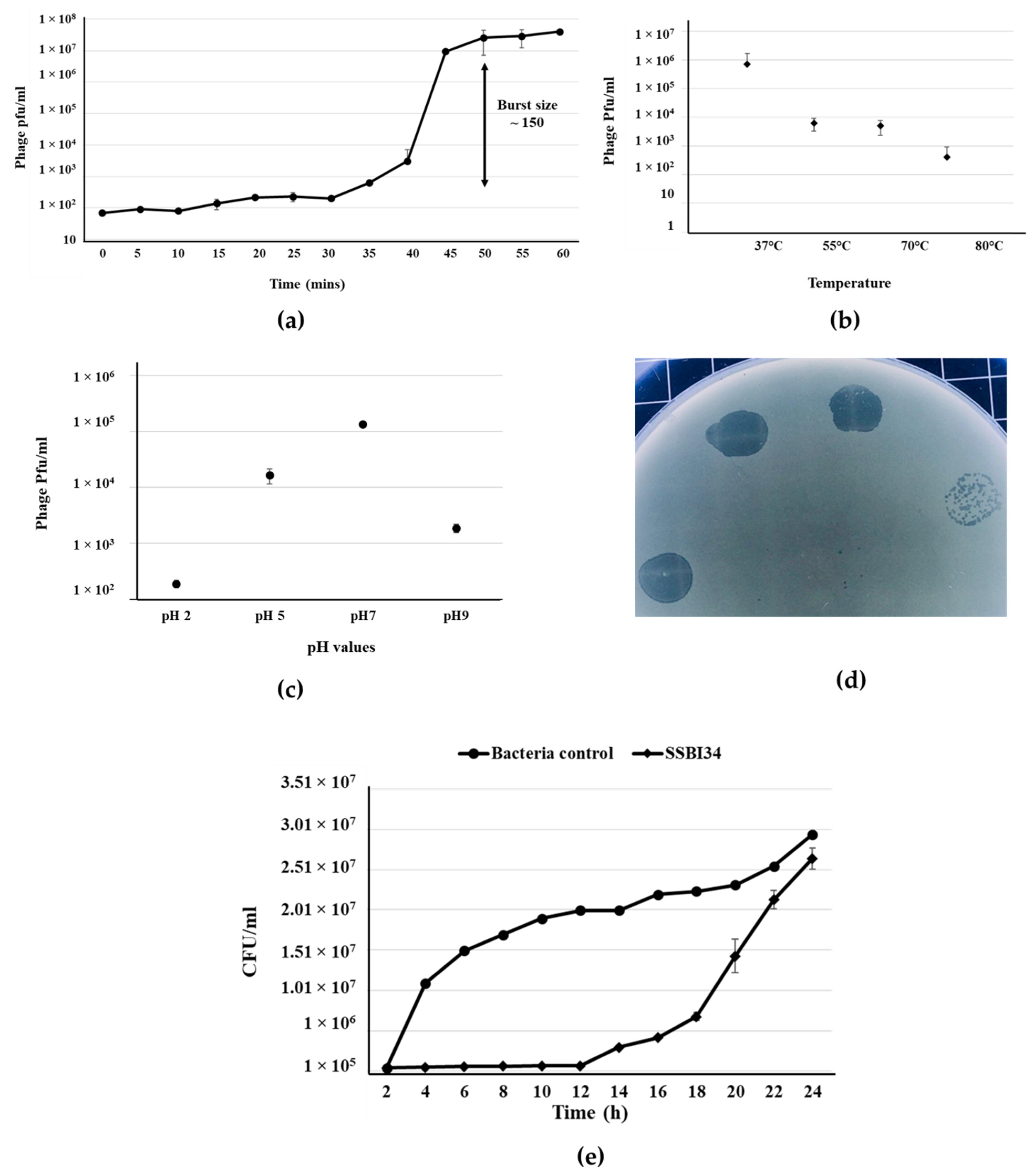 Viruses 14 00241 g001 Viruses 14 00241 g001