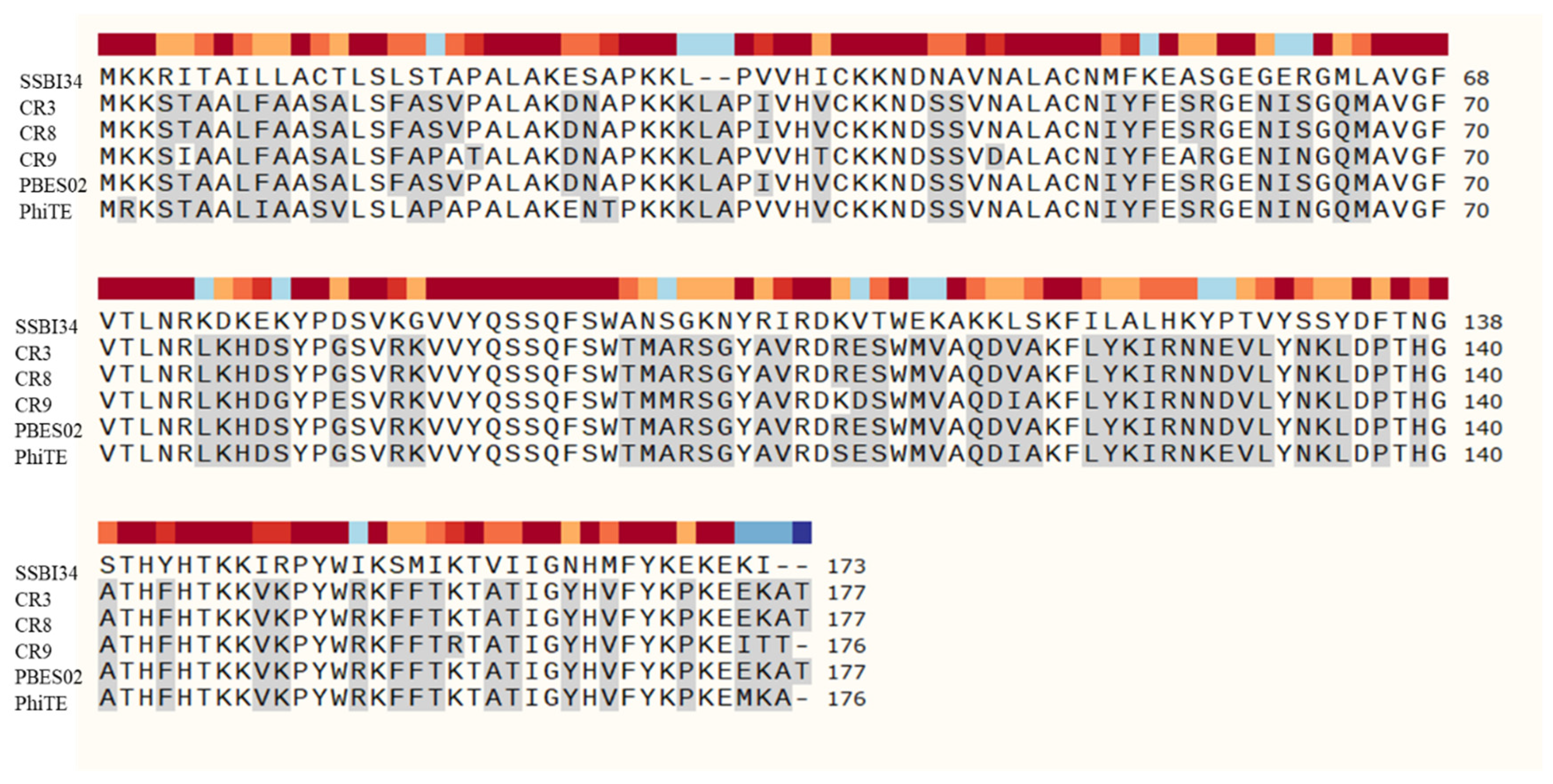 Viruses 14 00241 g005 Viruses 14 00241 g005