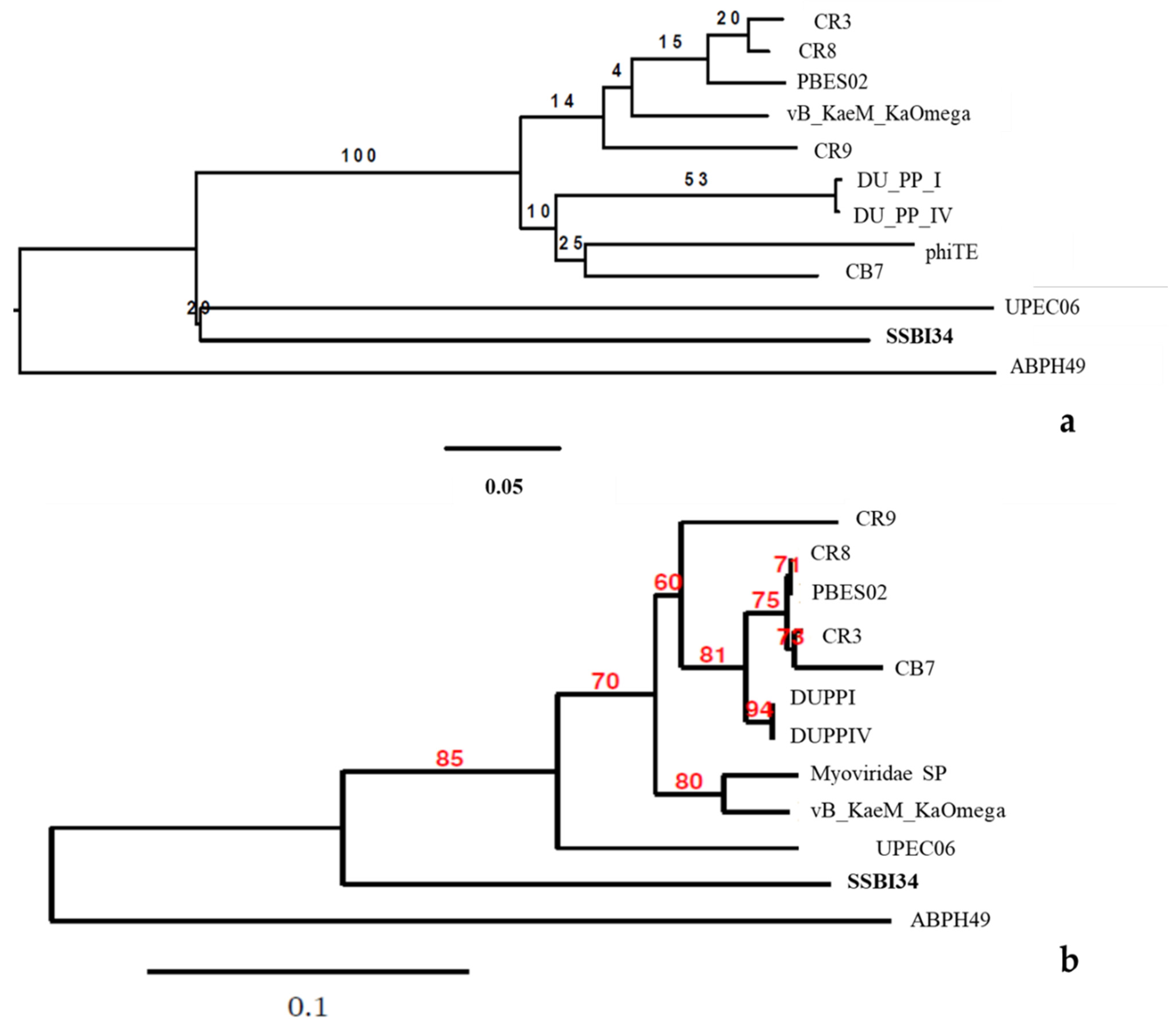 Viruses 14 00241 g006 Viruses 14 00241 g006