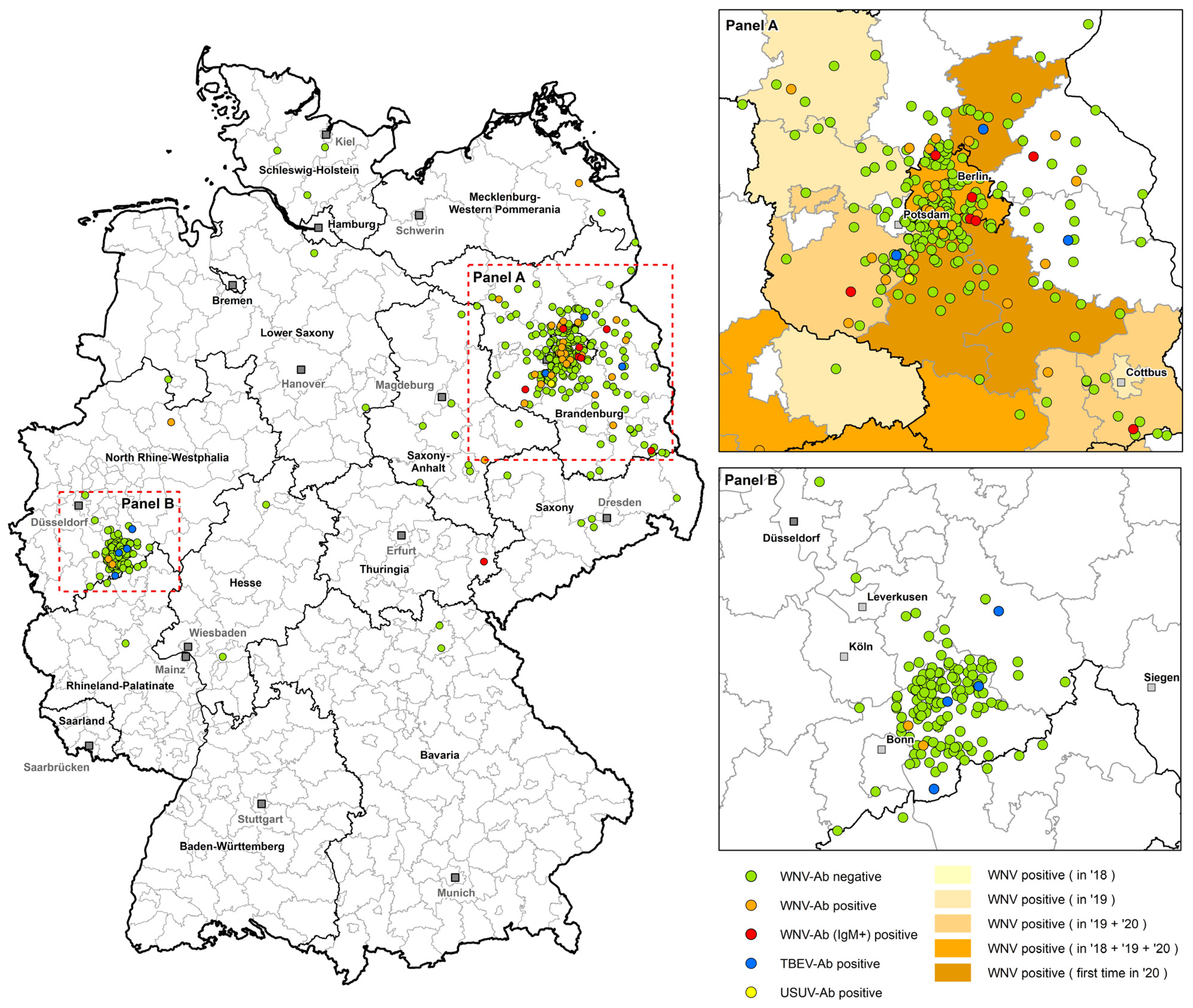 Viruses 14 00243 g002