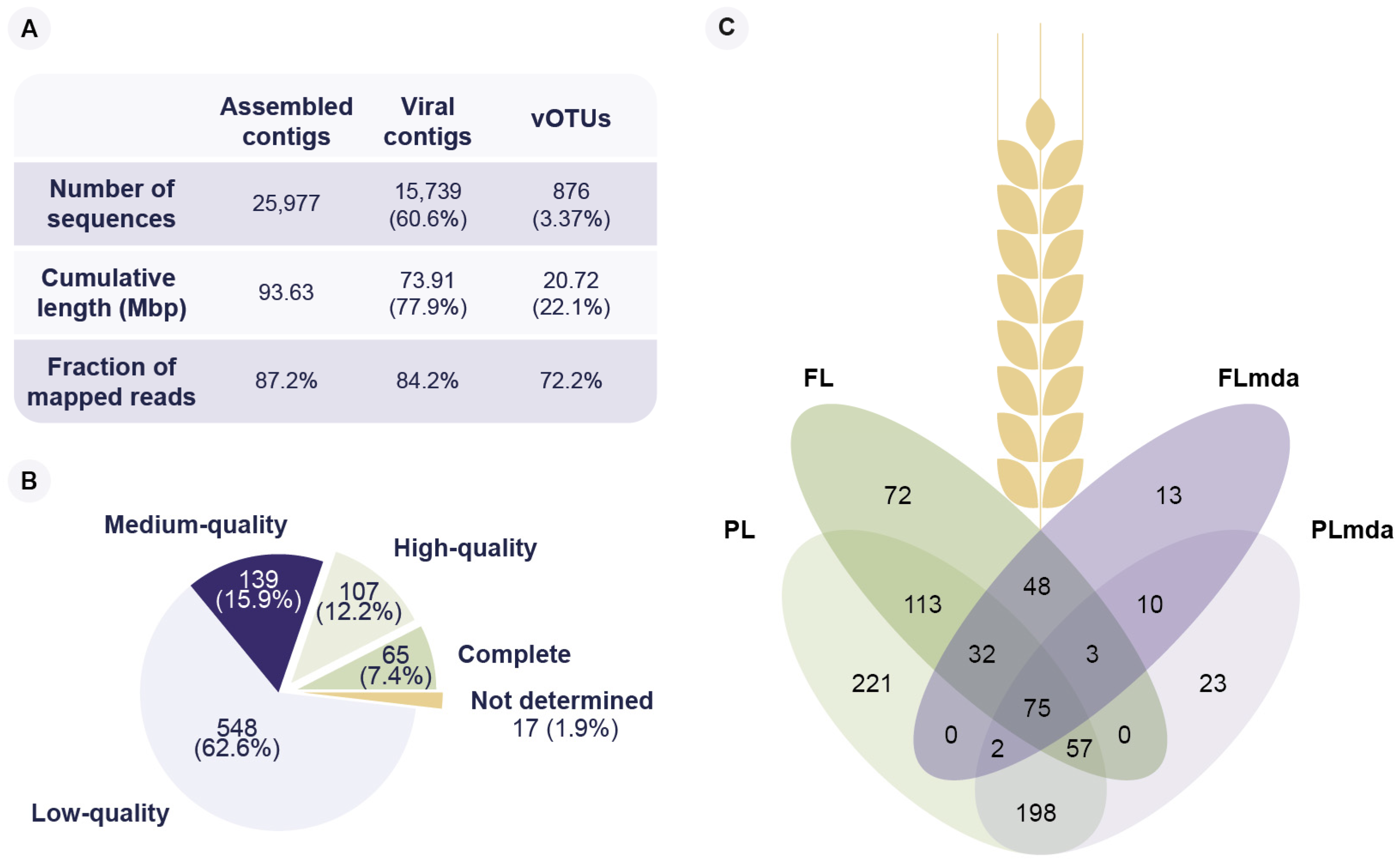 Viruses 14 00244 g001