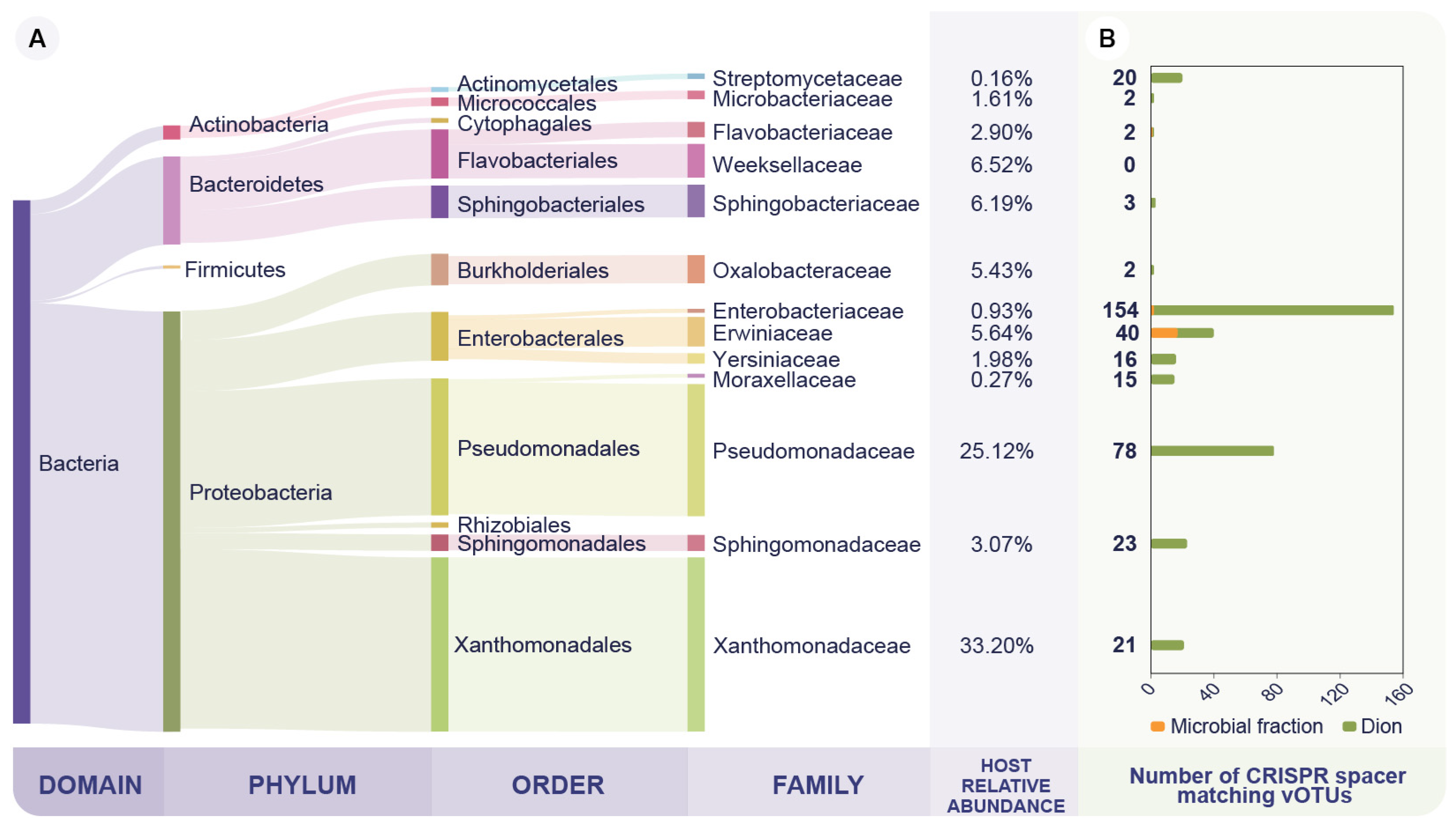 Viruses 14 00244 g002