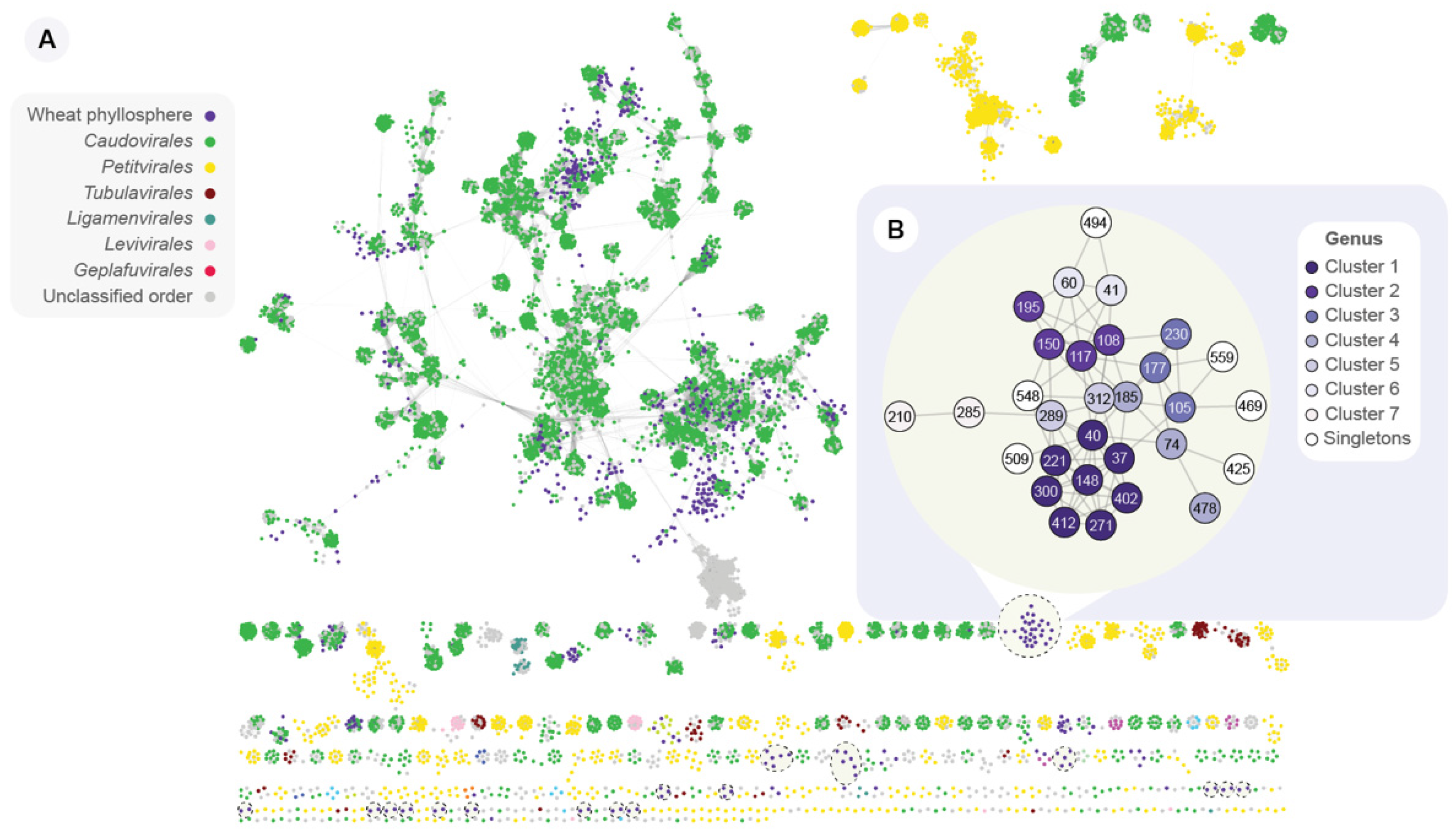 Viruses 14 00244 g003