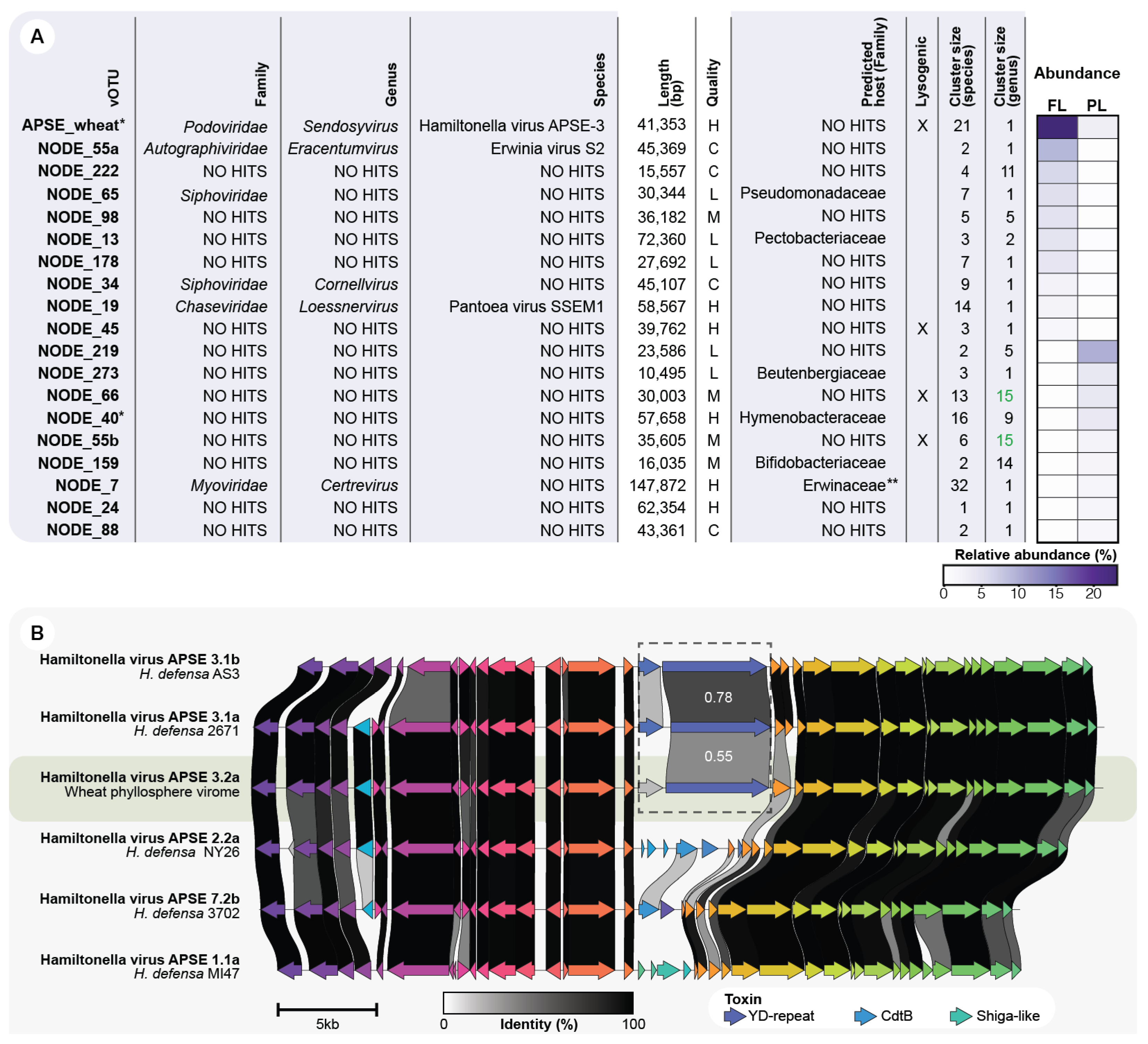 Viruses 14 00244 g004