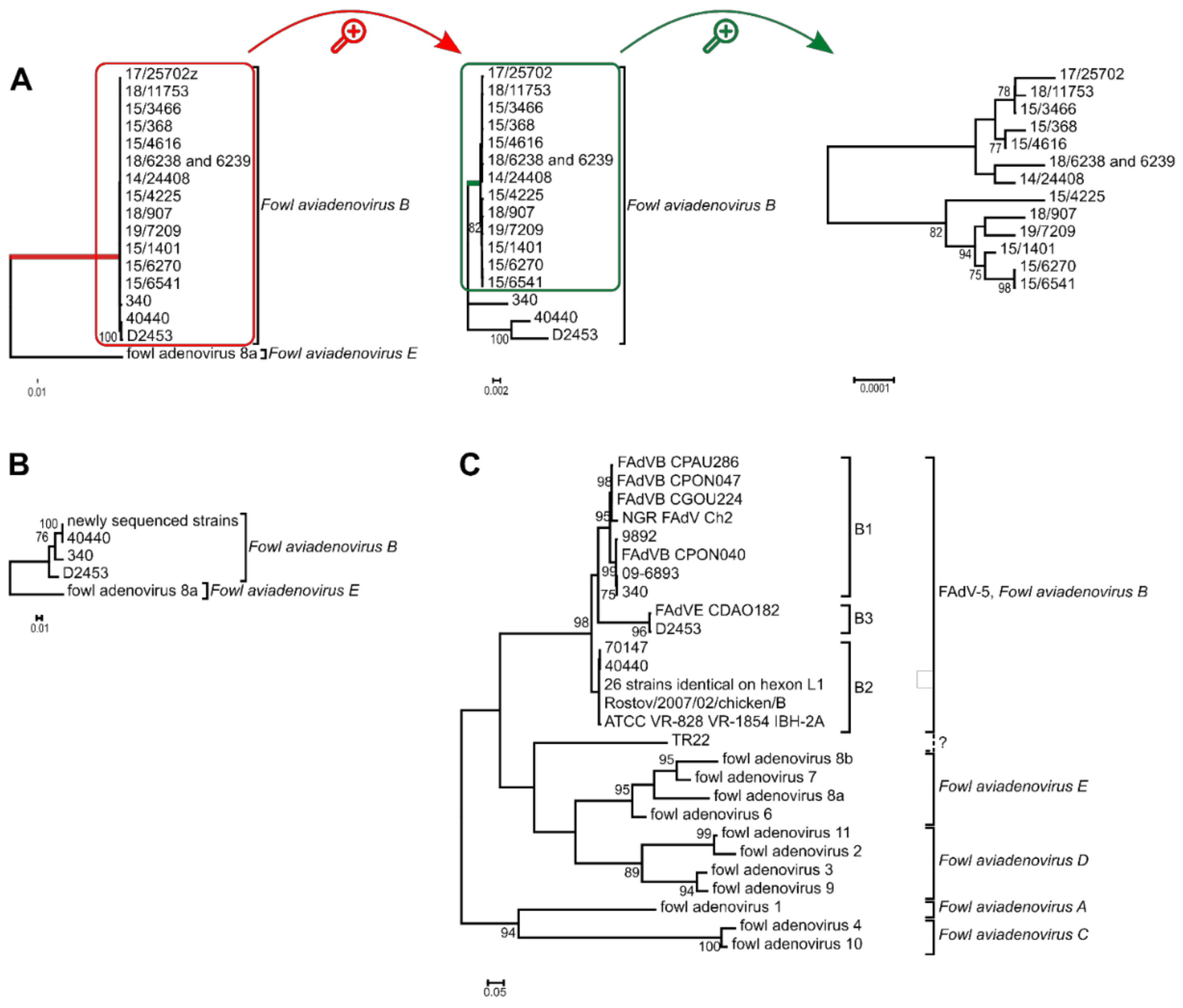 Viruses 14 00248 g002 550