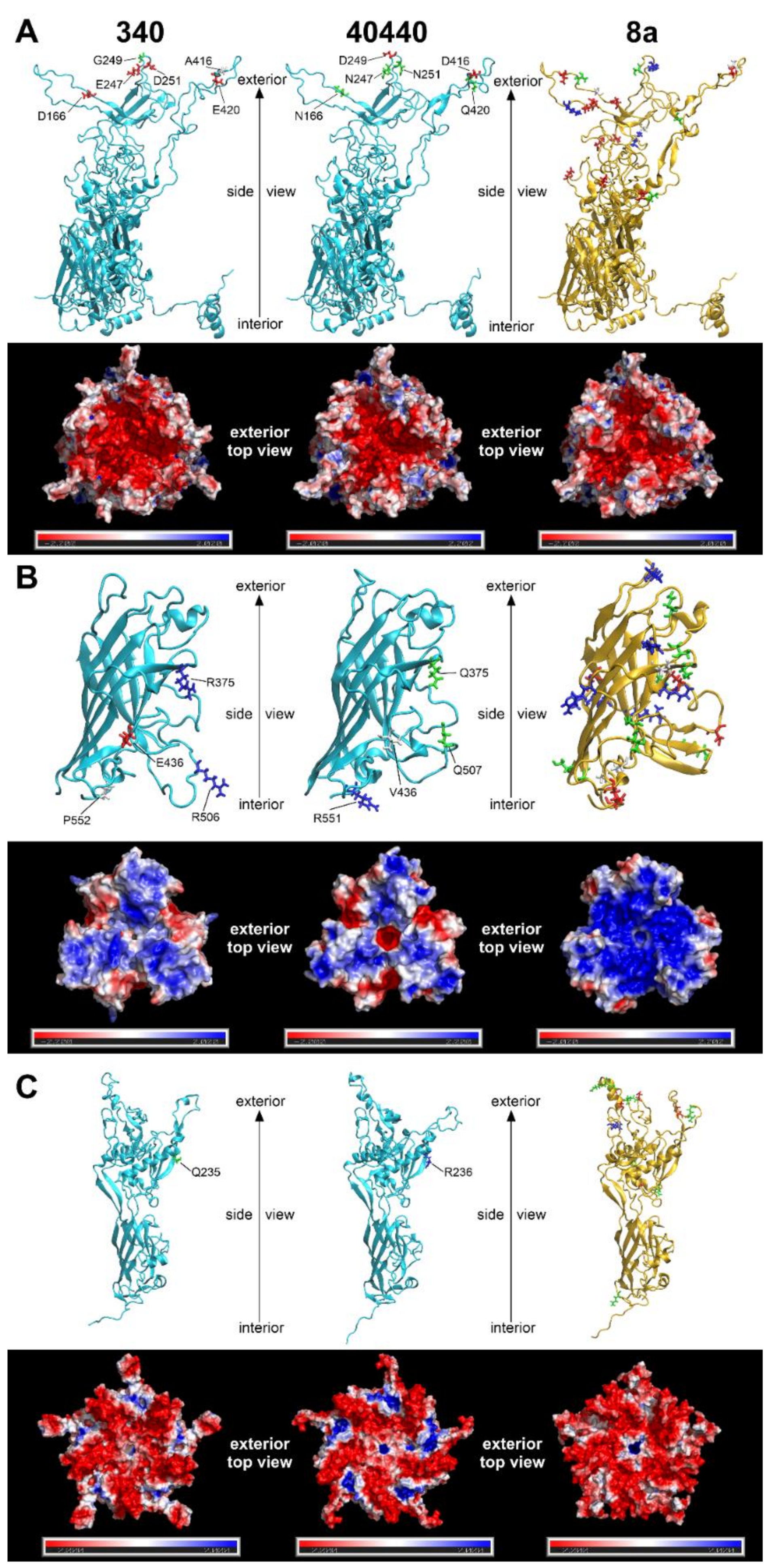 Viruses 14 00248 g003 550
