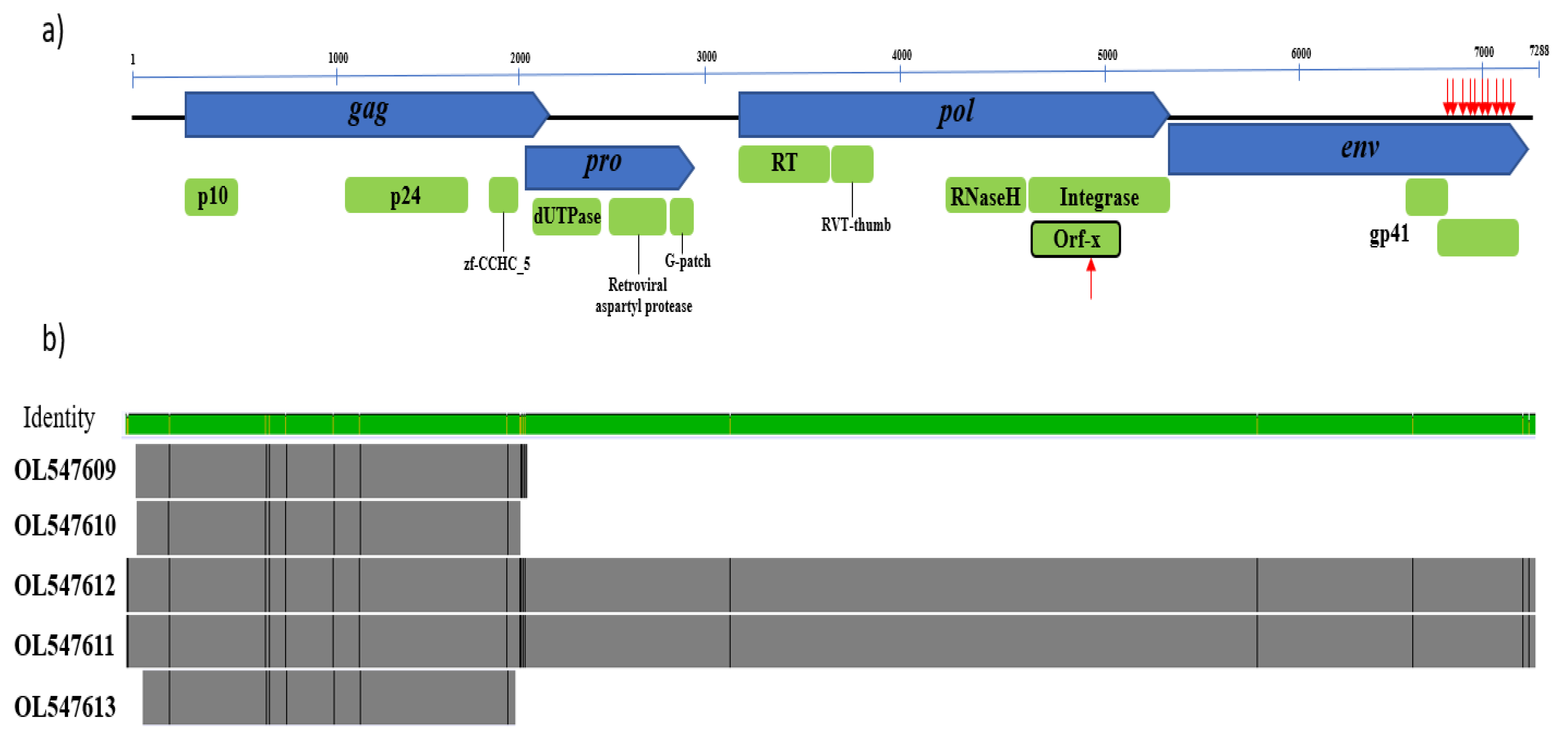 Viruses 14 00252 g001